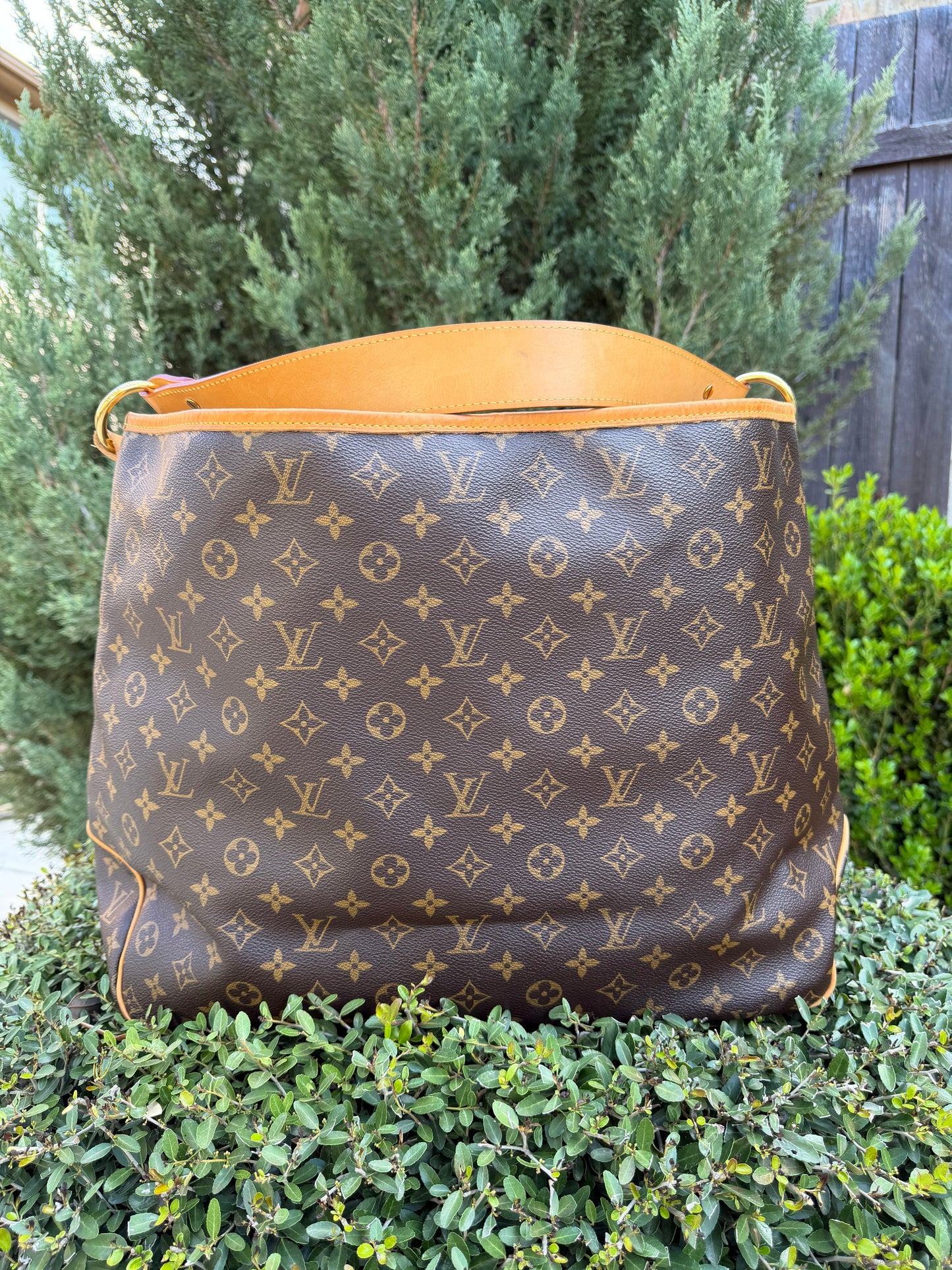 Louis Vuitton Delightful GM in Monogram Canvas