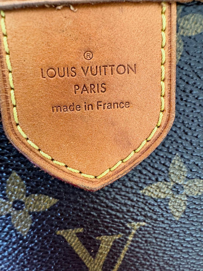Louis Vuitton Delightful MM – Monogram Canvas