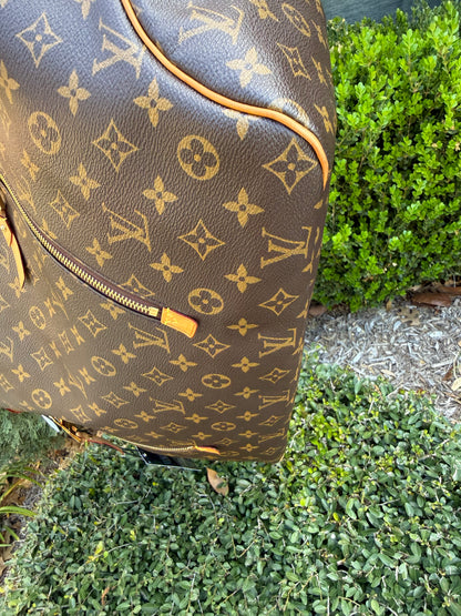 Louis Vuitton Delightful GM in Monogram Canvas