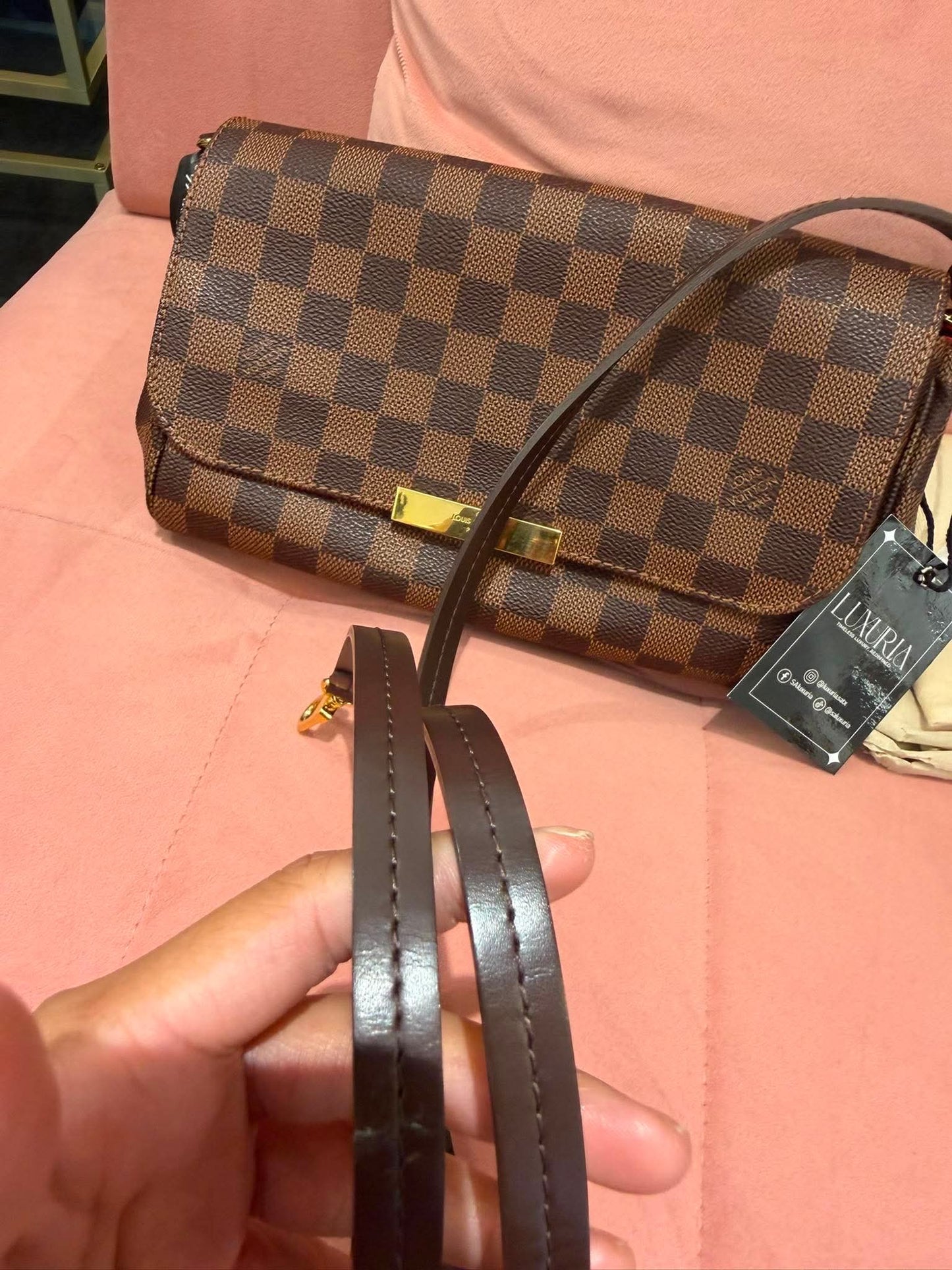 Louis Vuitton Favorite MM in Damier Ebene (For Ms Lisa)