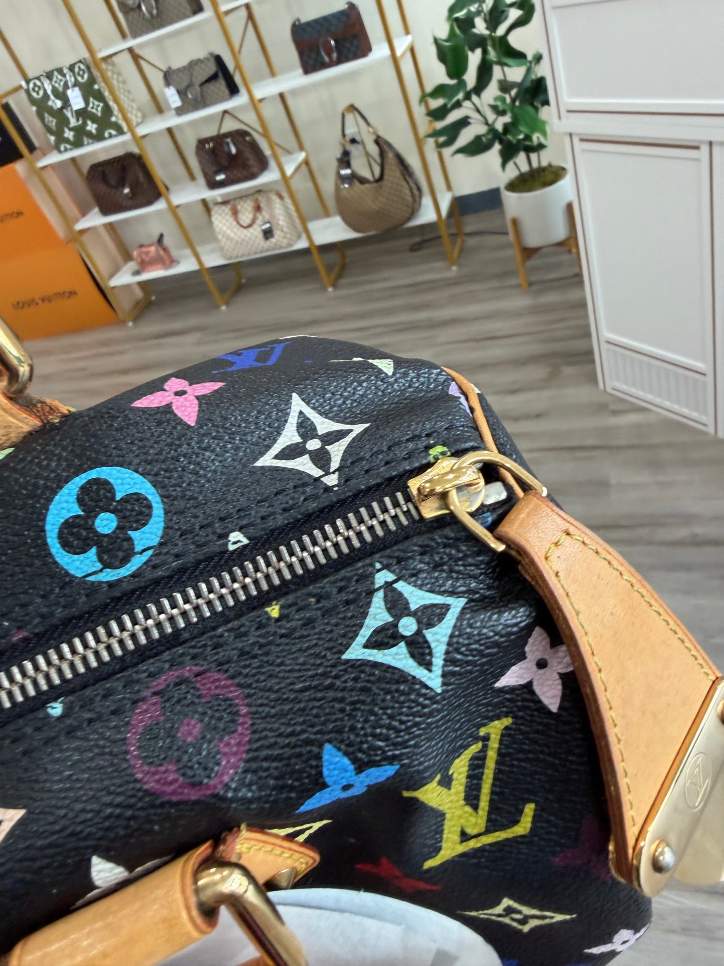 Louis Vuitton Speedy Multicolor in Noir
