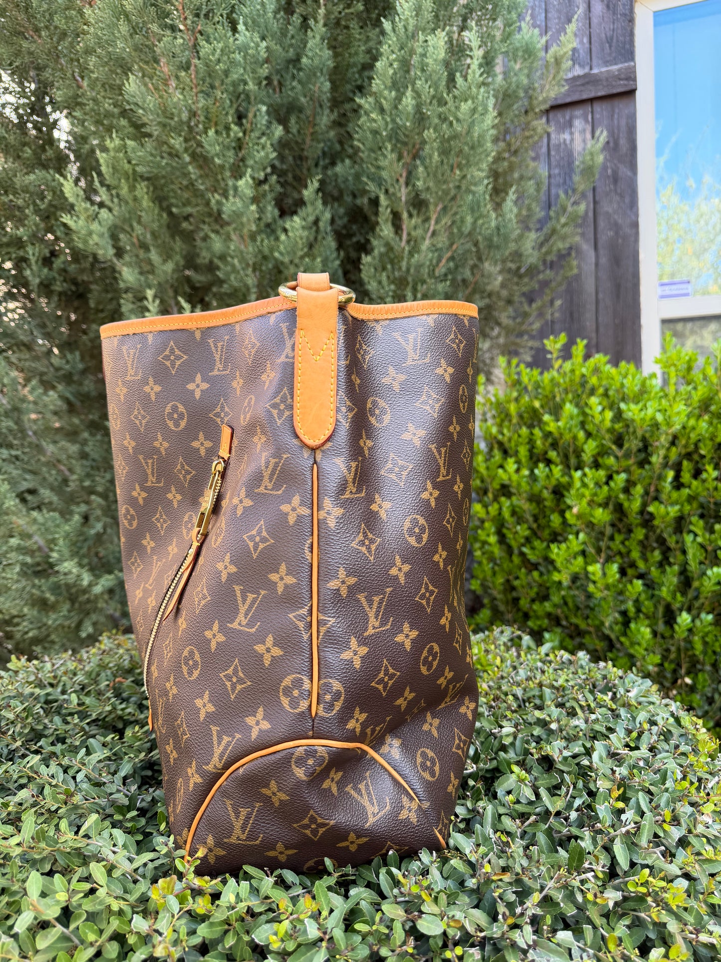 Louis Vuitton Delightful GM in Monogram Canvas