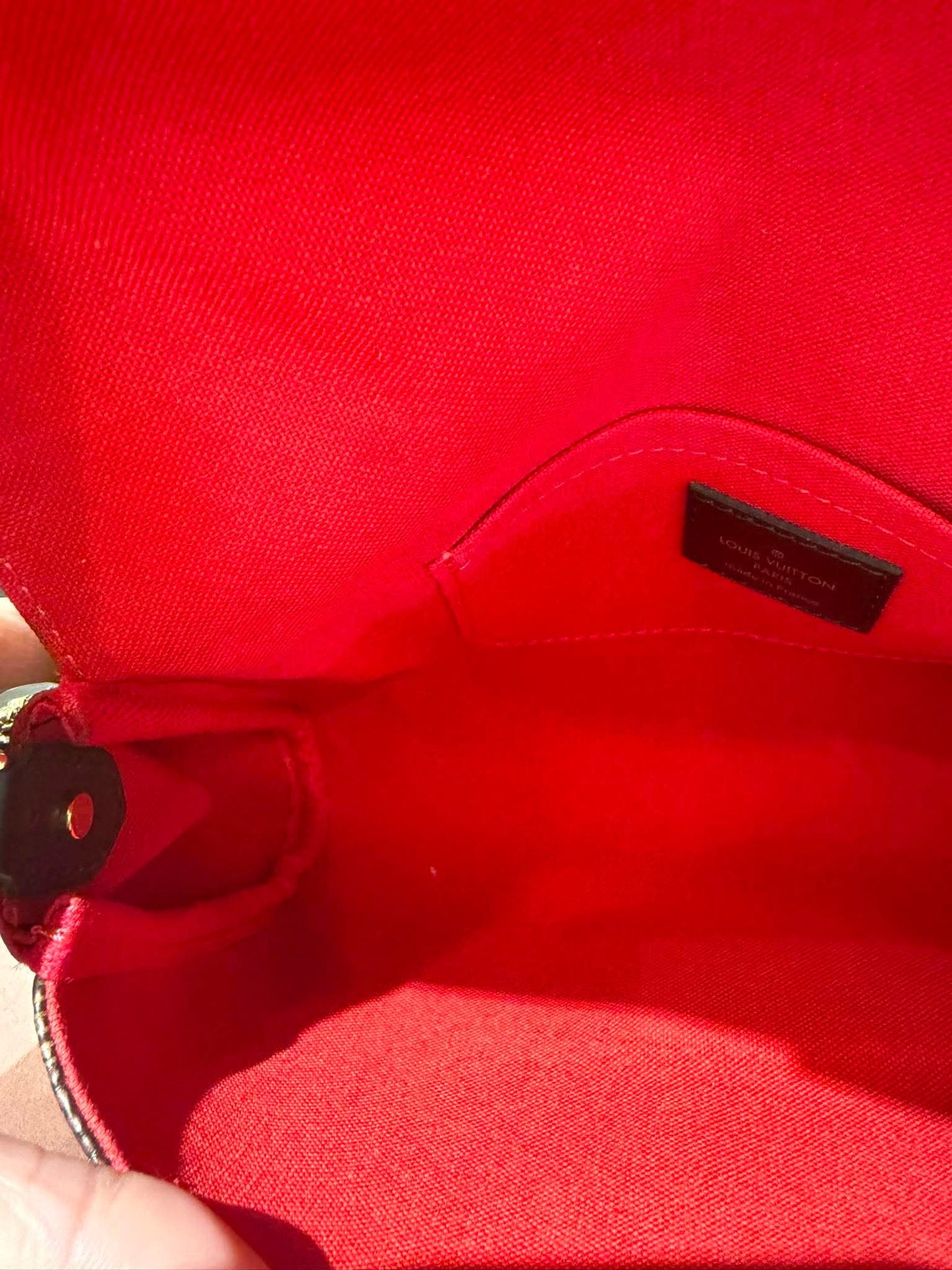 Louis Vuitton Favorite MM in Damier Ebene (For Ms Lisa)