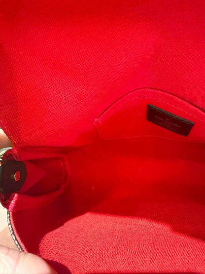 Louis Vuitton Favorite MM in Damier Ebene (For Ms Lisa)