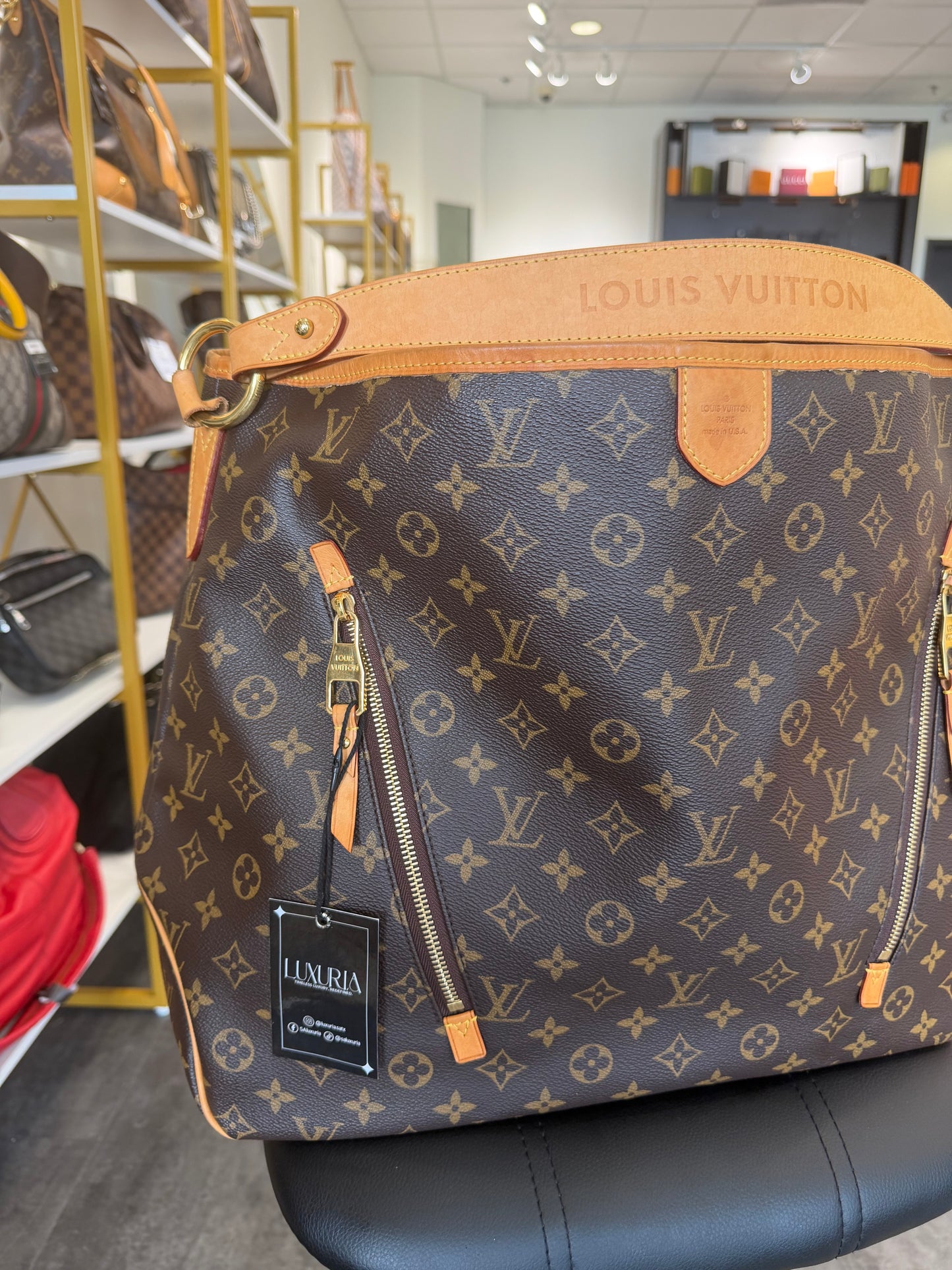 Louis Vuitton Delightful GM – Monogram Canvas