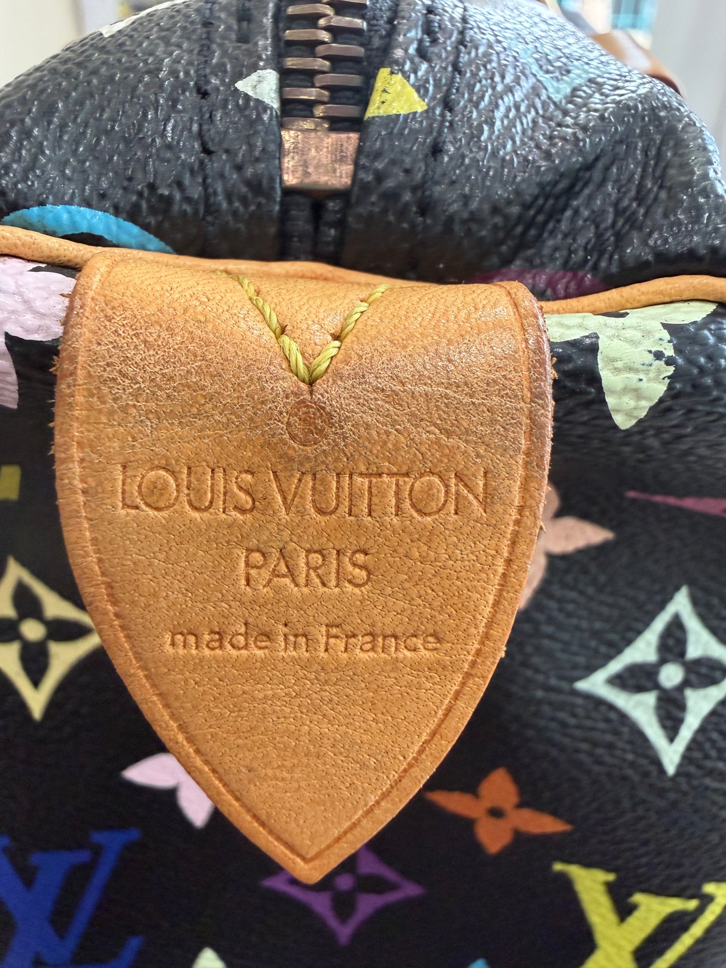 Louis Vuitton Speedy Multicolor in Noir