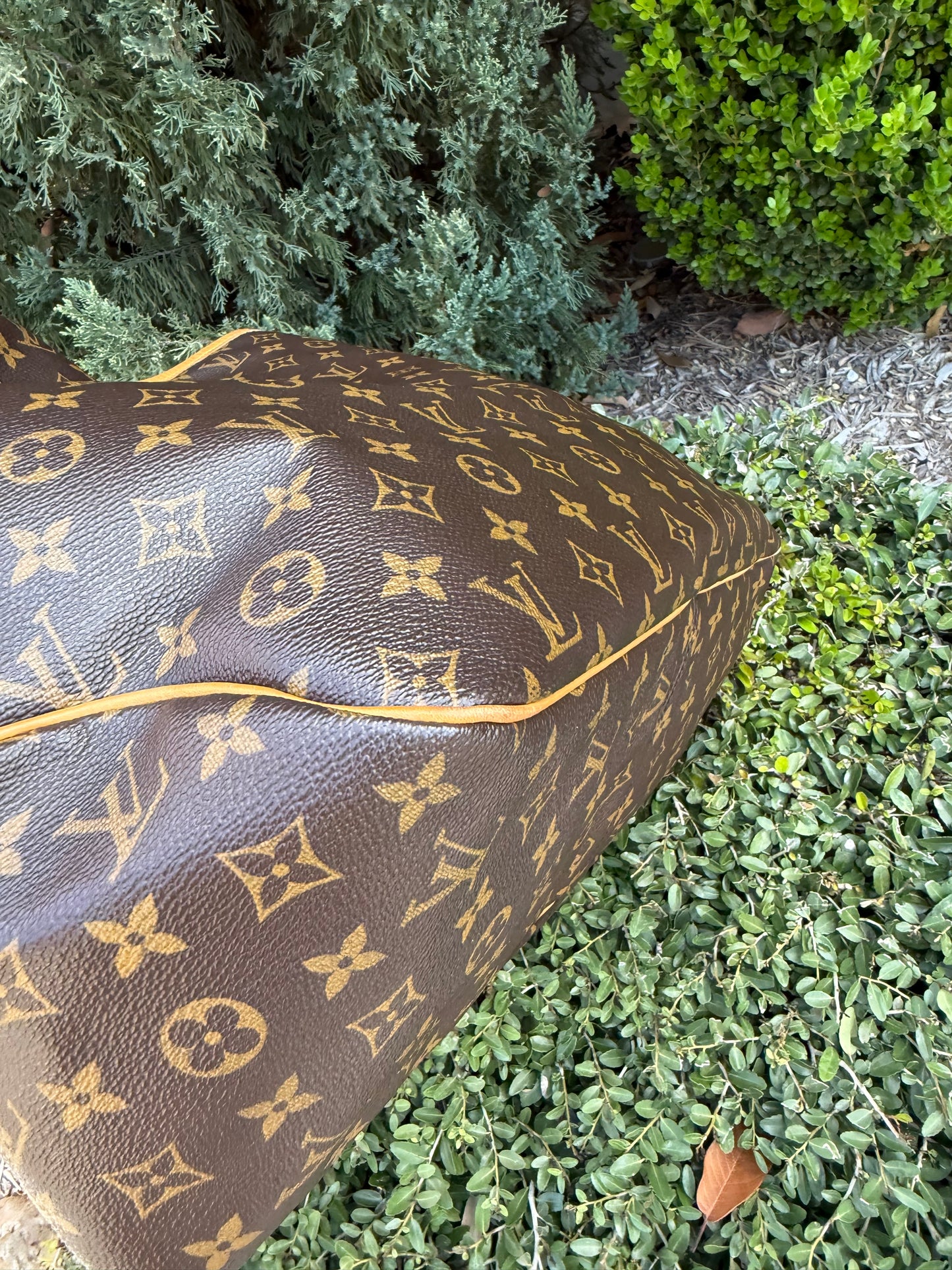 Louis Vuitton Delightful GM in Monogram Canvas