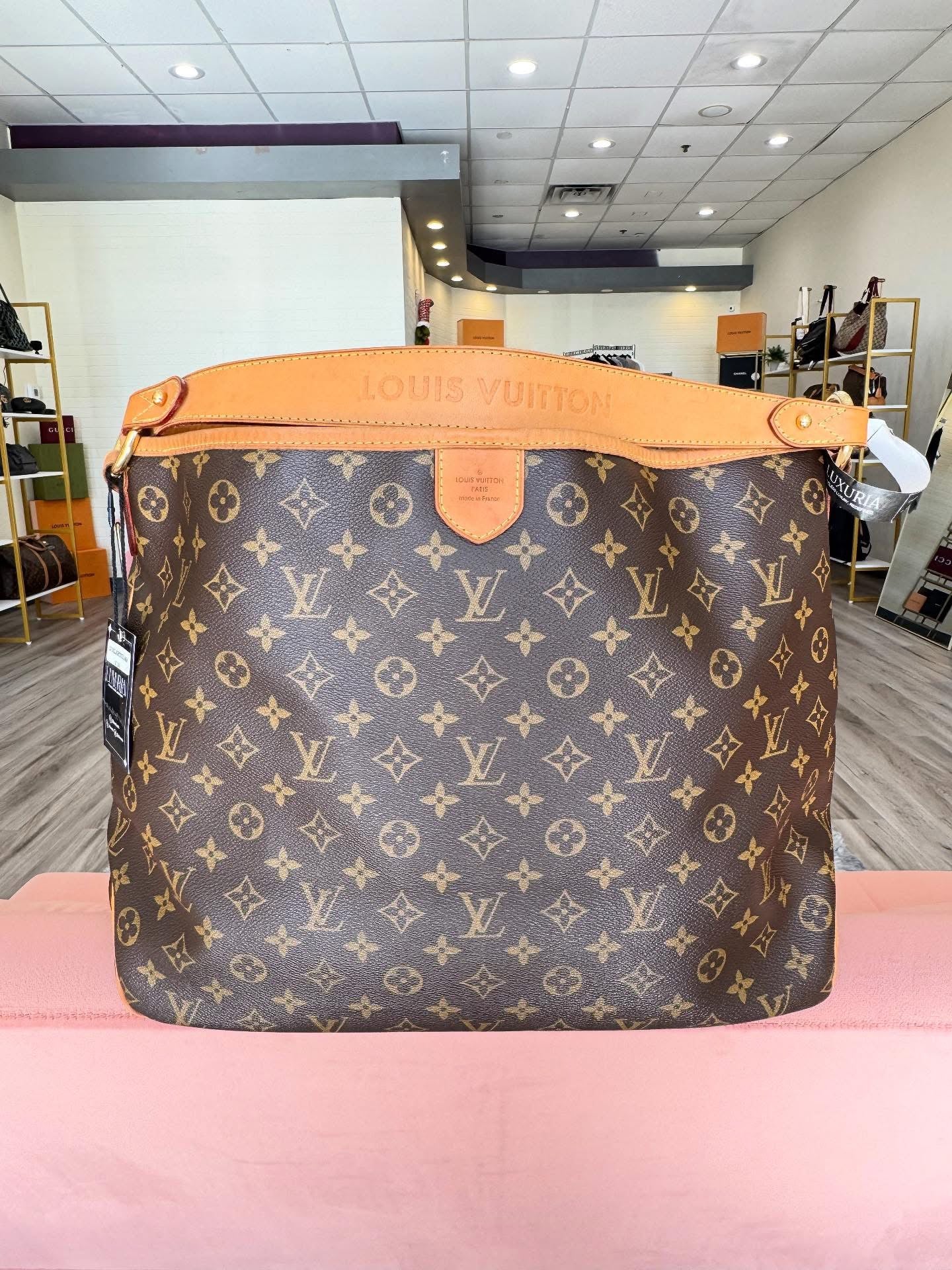Louis Vuitton Delightful MM – Monogram Canvas