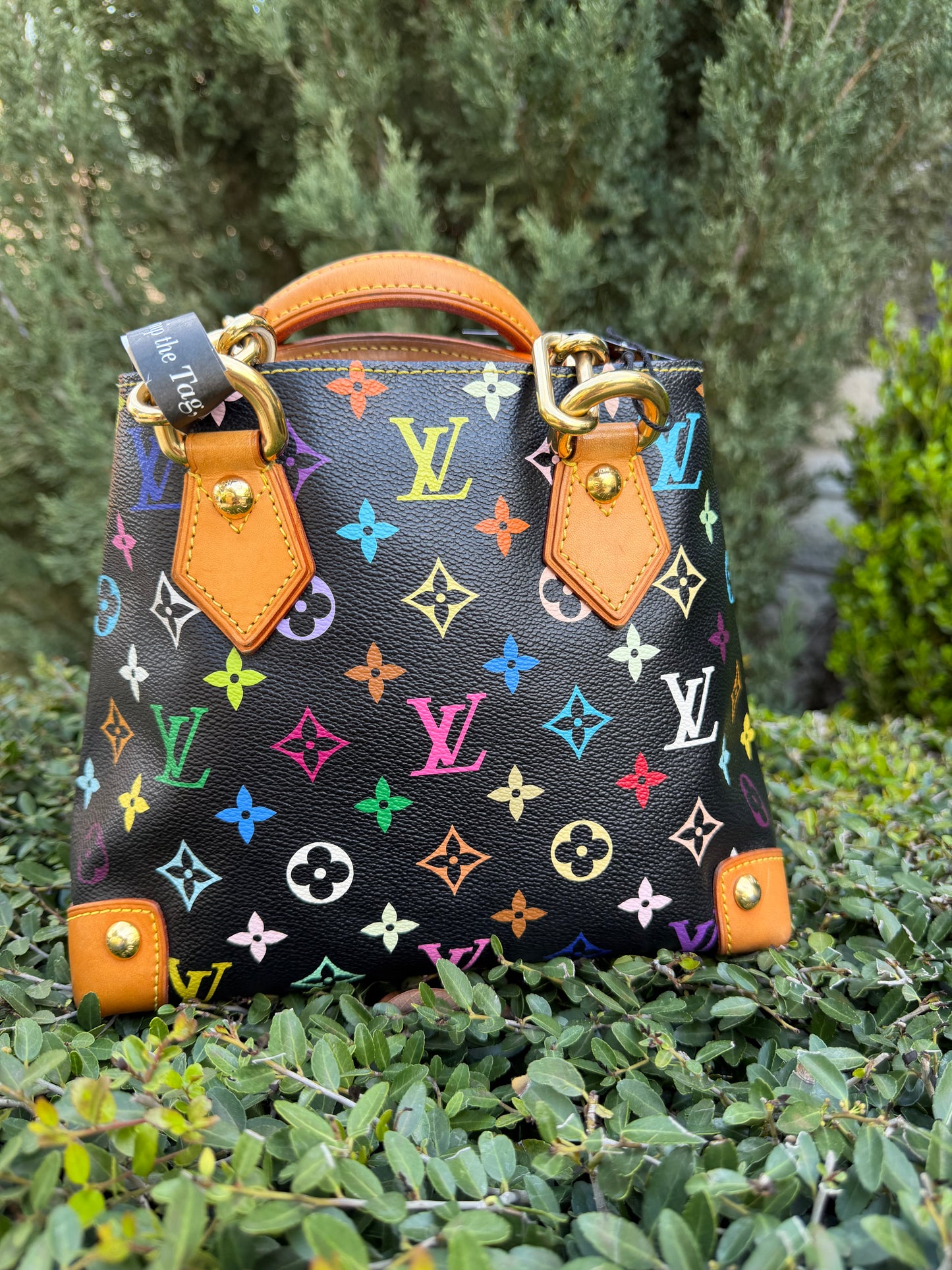Louis Vuitton Audra in Noir