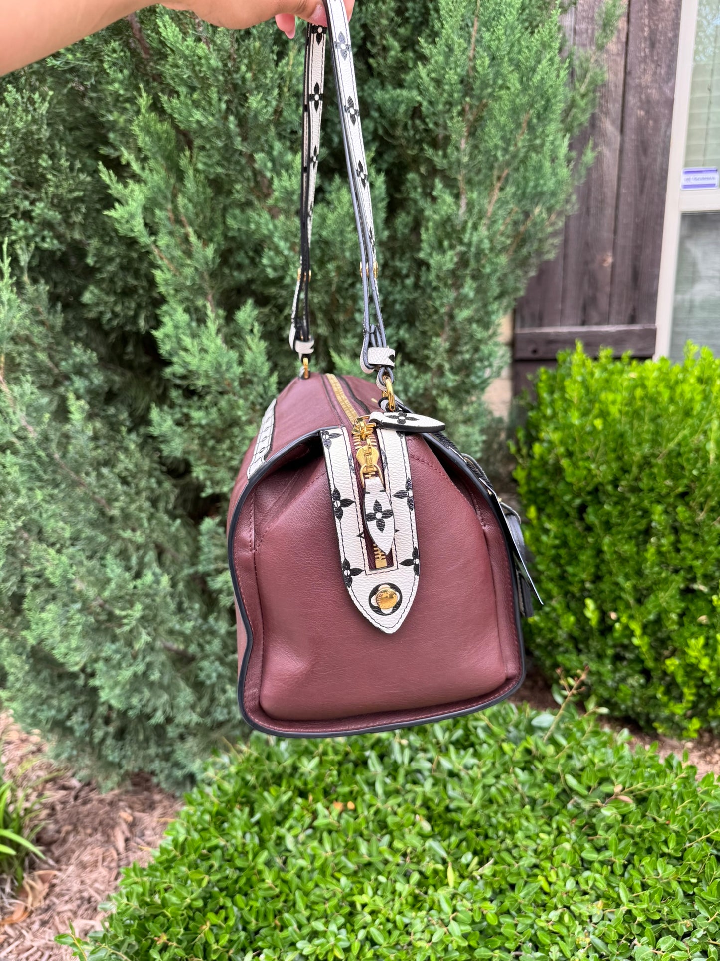 Louis Vuitton Amazon Speedy MM Limited Edition (Spring/Summer 2016)