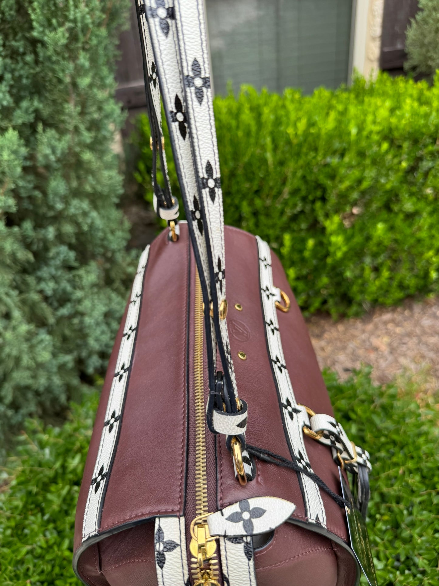 Louis Vuitton Amazon Speedy MM Limited Edition (Spring/Summer 2016)