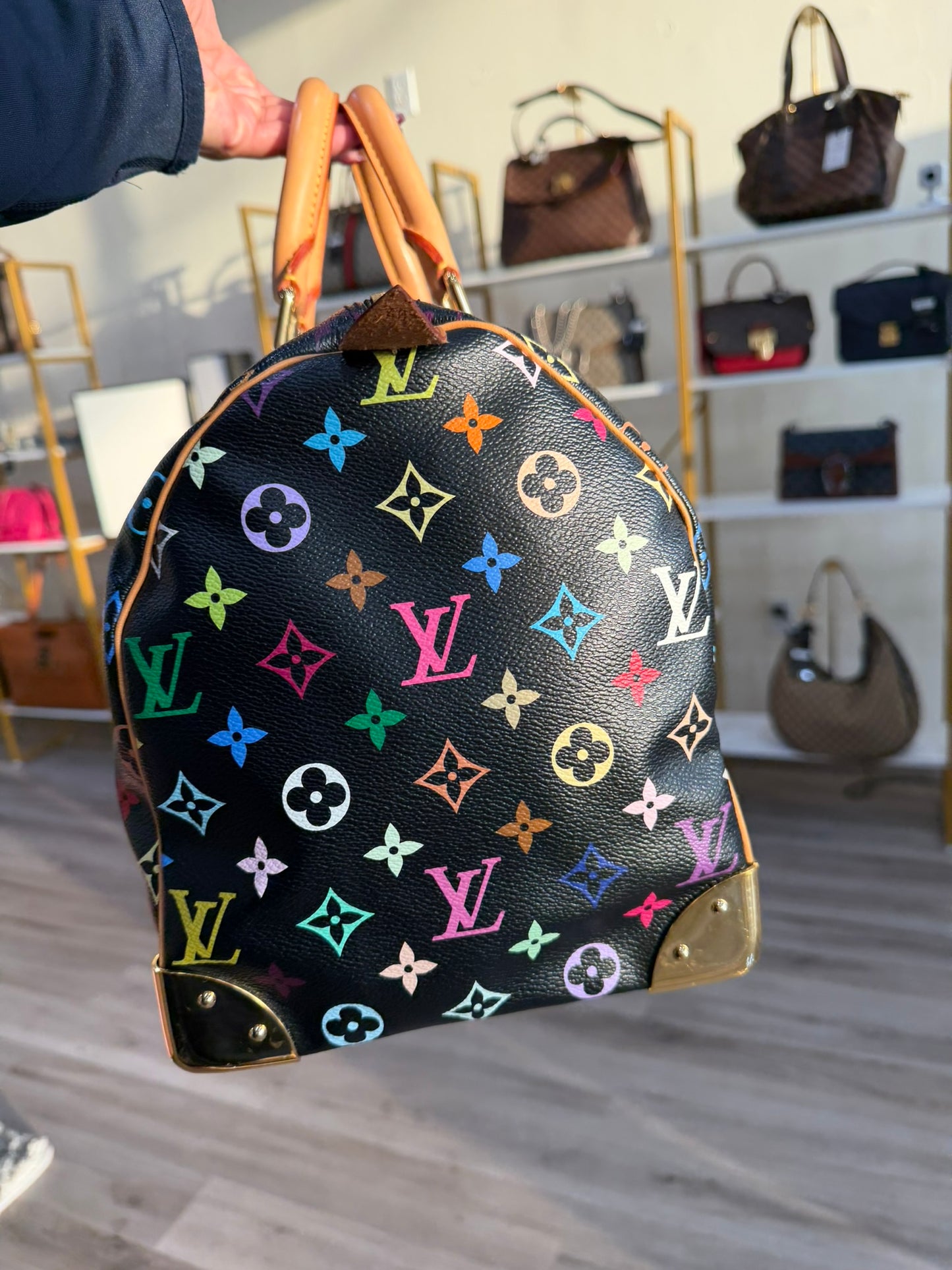 Louis Vuitton Speedy 40 – Multicolor