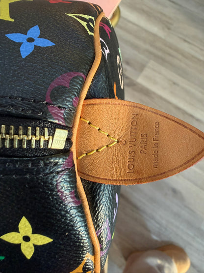 Louis Vuitton Speedy 40 – Multicolor