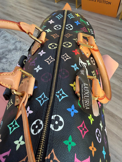 Louis Vuitton Speedy 40 – Multicolor