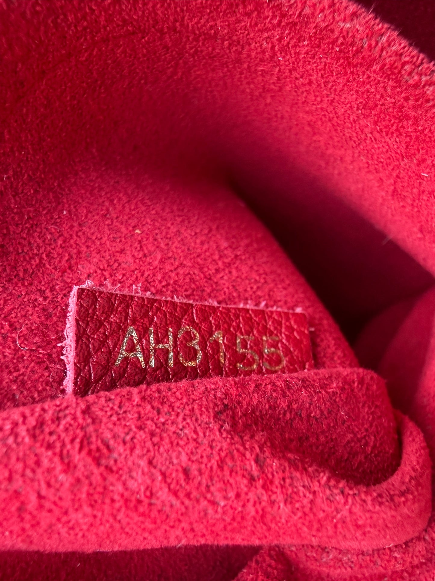 Louis Vuitton Gaia in Monogram Canvas with Red Accent