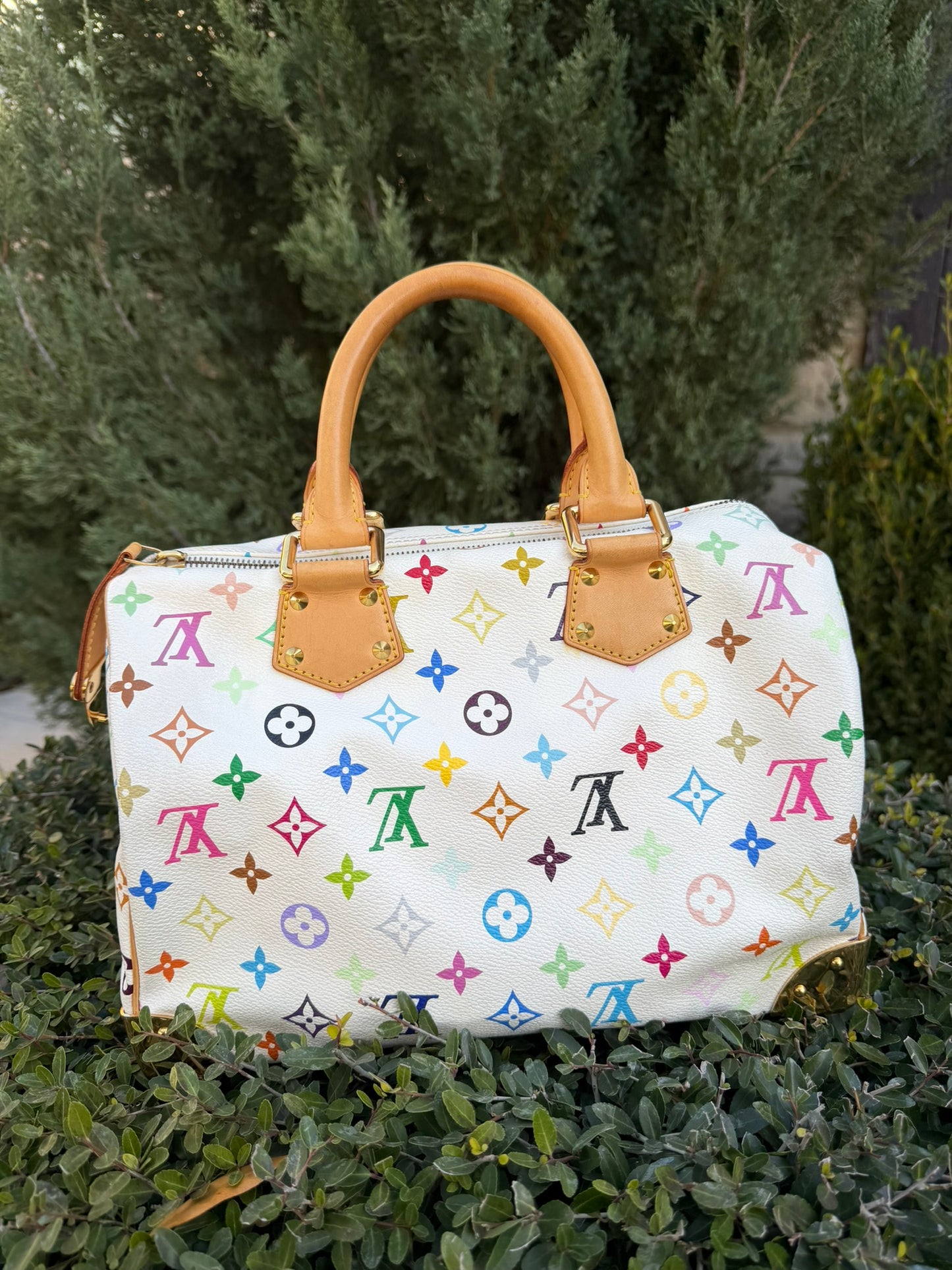 Louis Vuitton Speedy in Multicolor Blanc