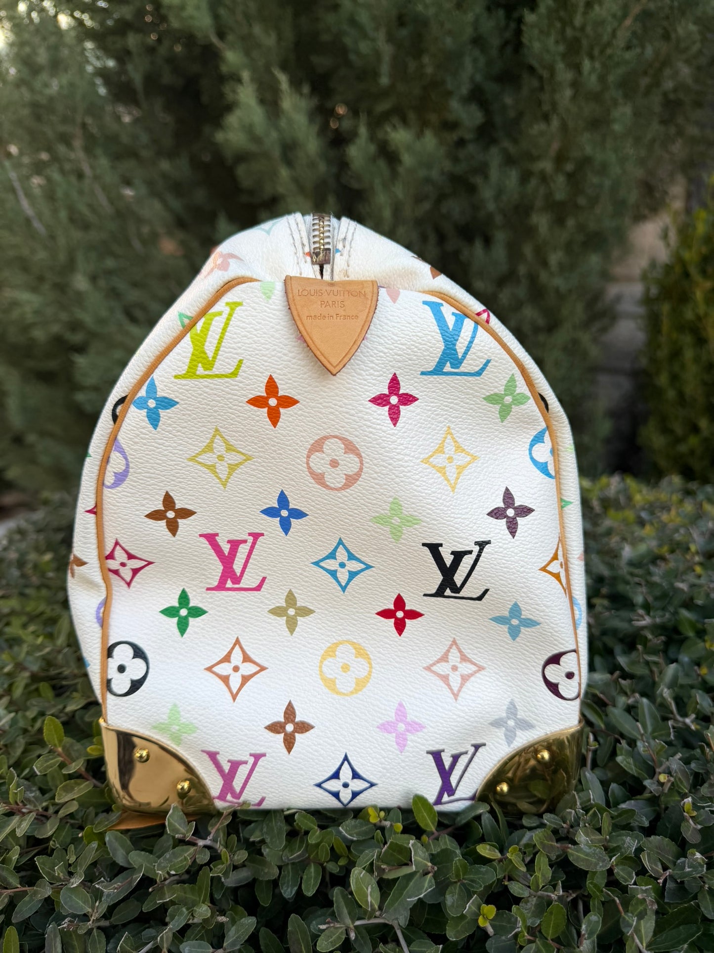 Louis Vuitton Speedy in Multicolor Blanc