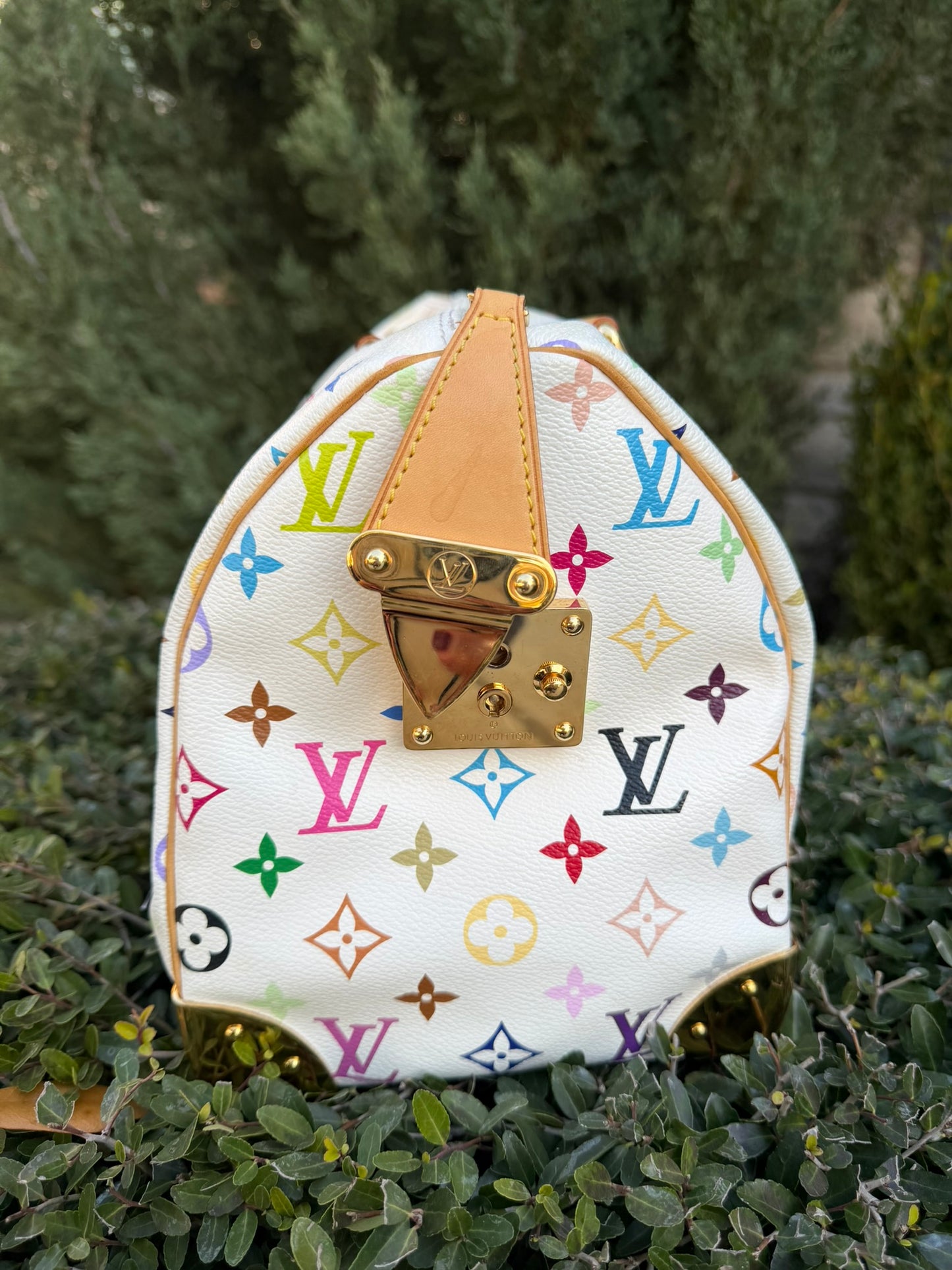 Louis Vuitton Speedy in Multicolor Blanc