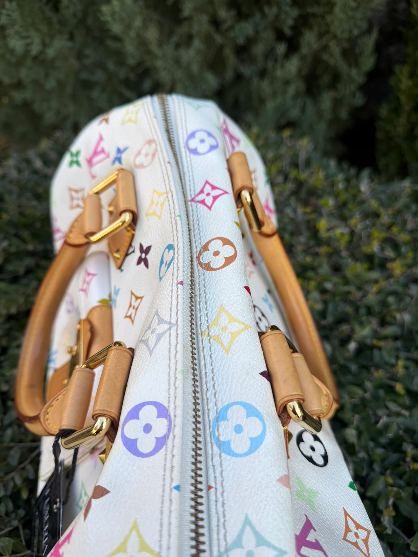 Louis Vuitton Speedy in Multicolor Blanc