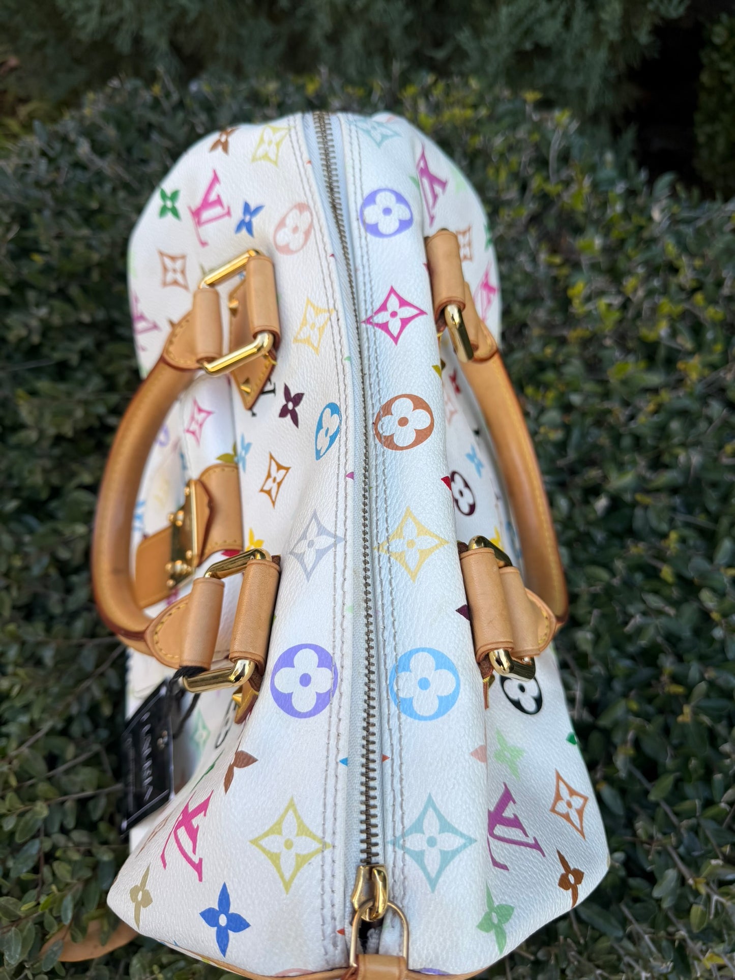 Louis Vuitton Speedy in Multicolor Blanc