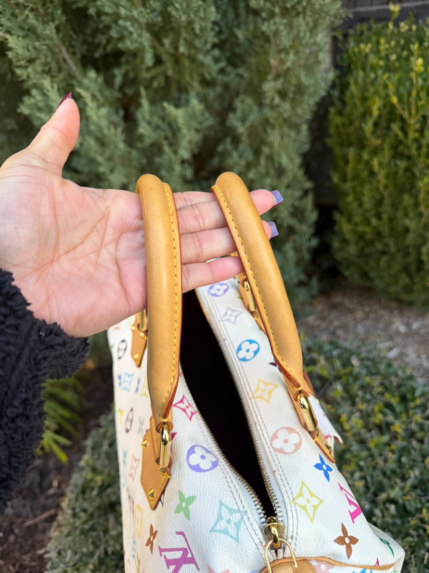 Louis Vuitton Speedy in Multicolor Blanc
