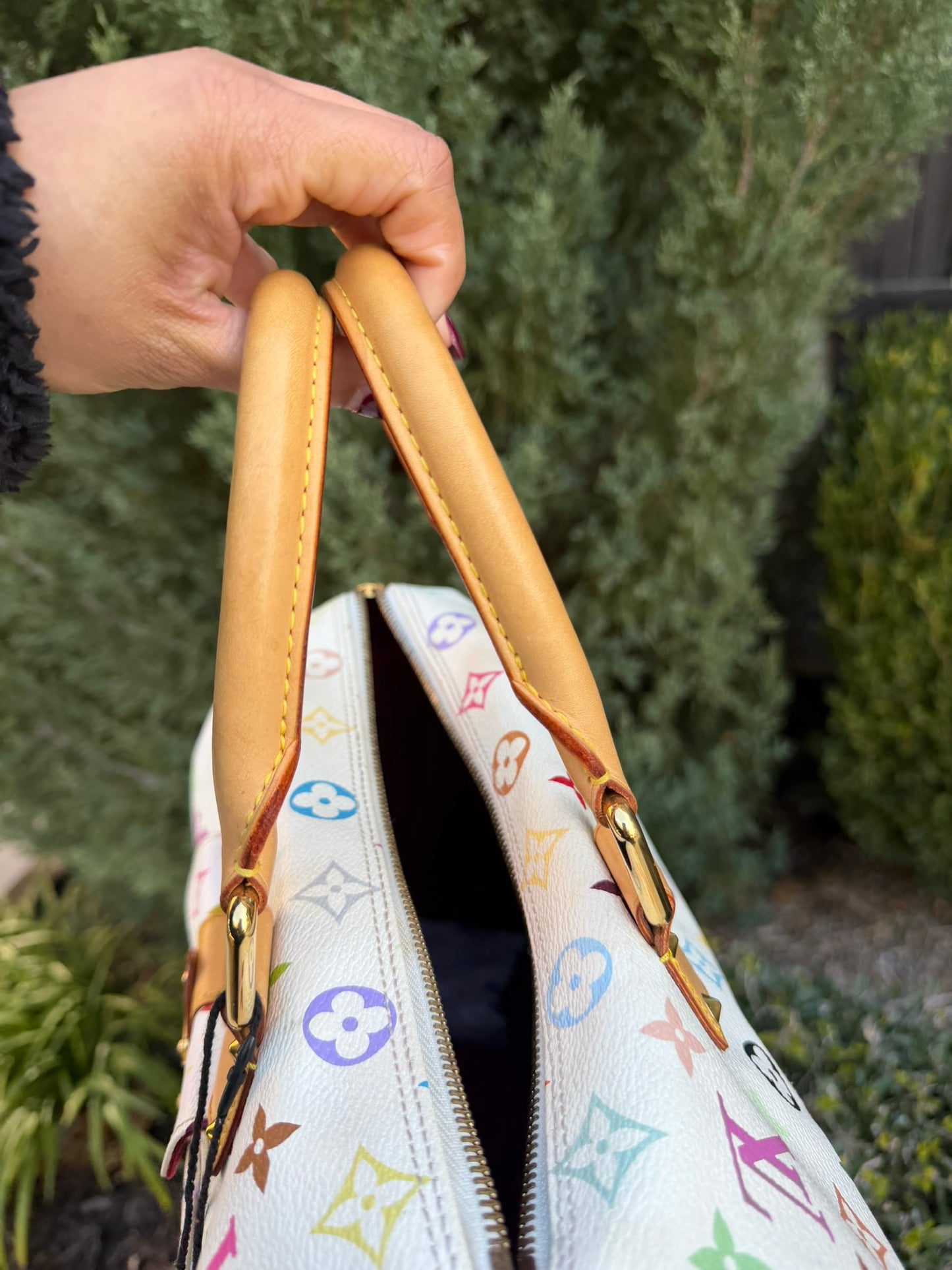 Louis Vuitton Speedy in Multicolor Blanc