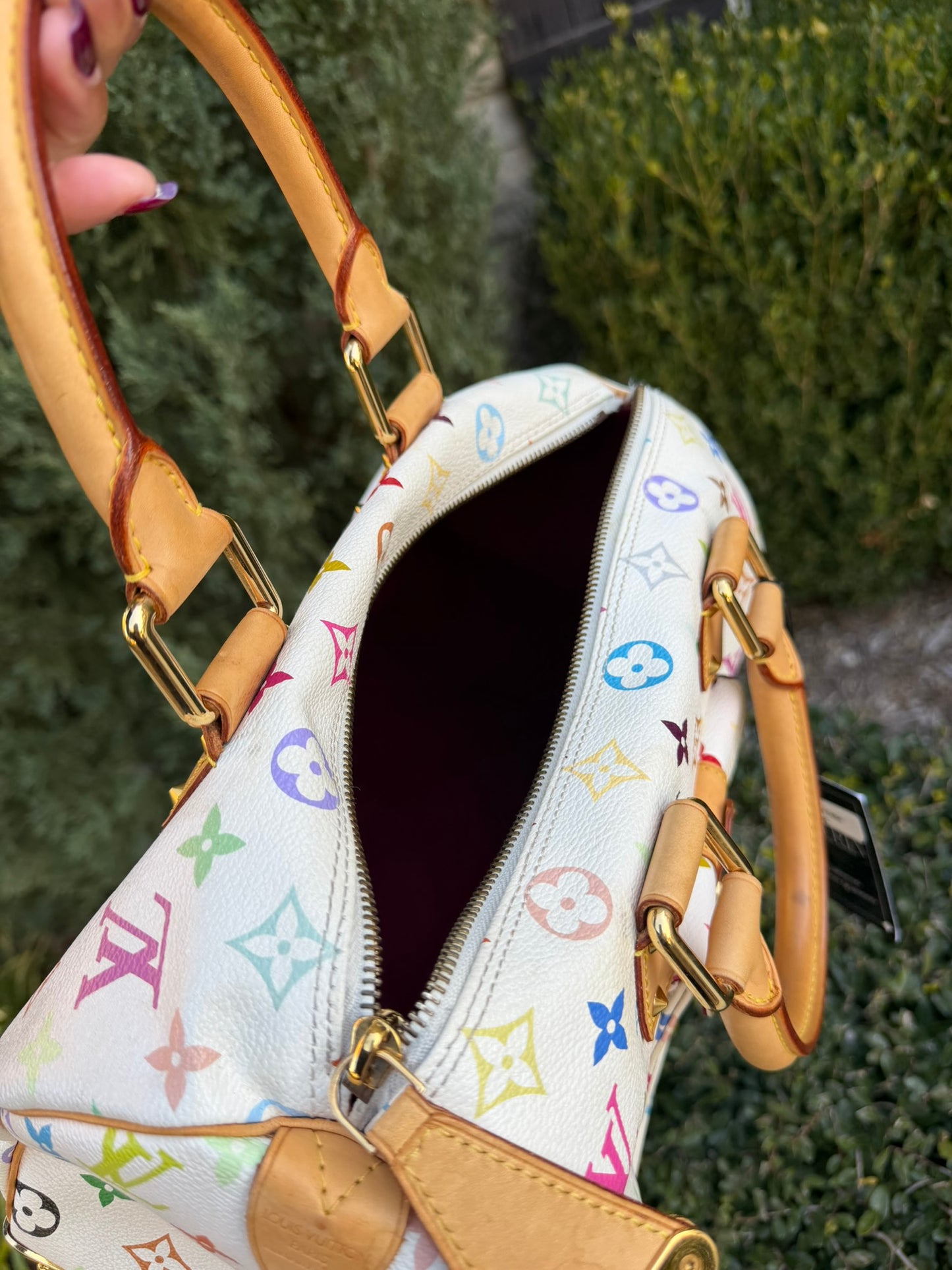 Louis Vuitton Speedy in Multicolor Blanc