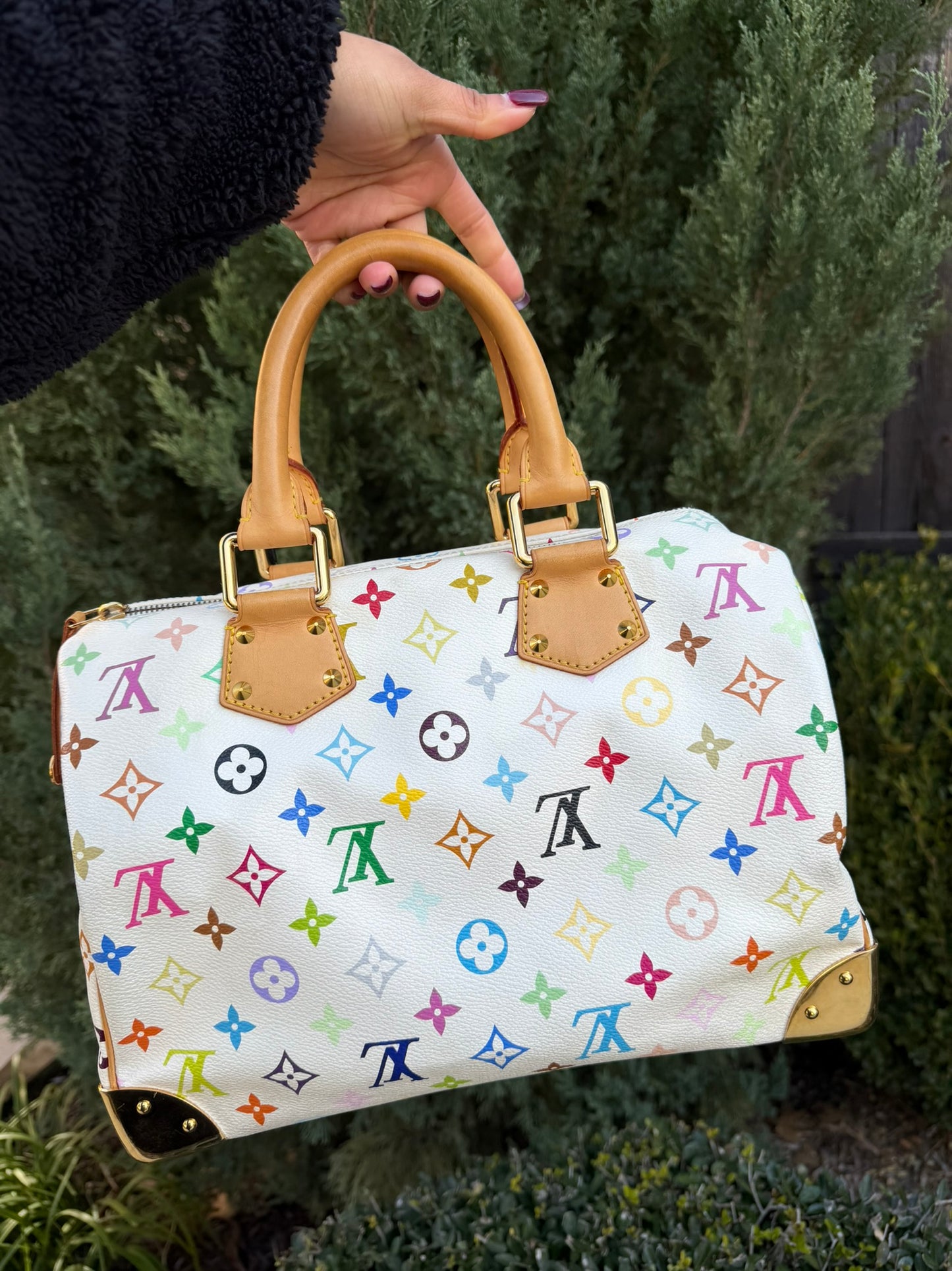 Louis Vuitton Speedy in Multicolor Blanc