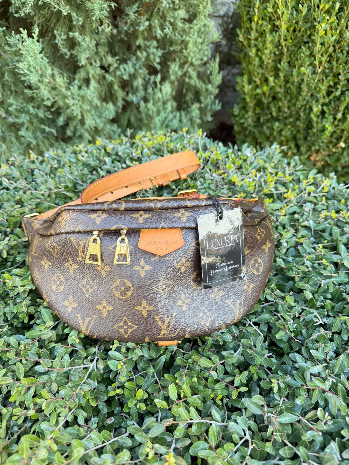 Louis Vuitton Bumbag in Monogram Canvas