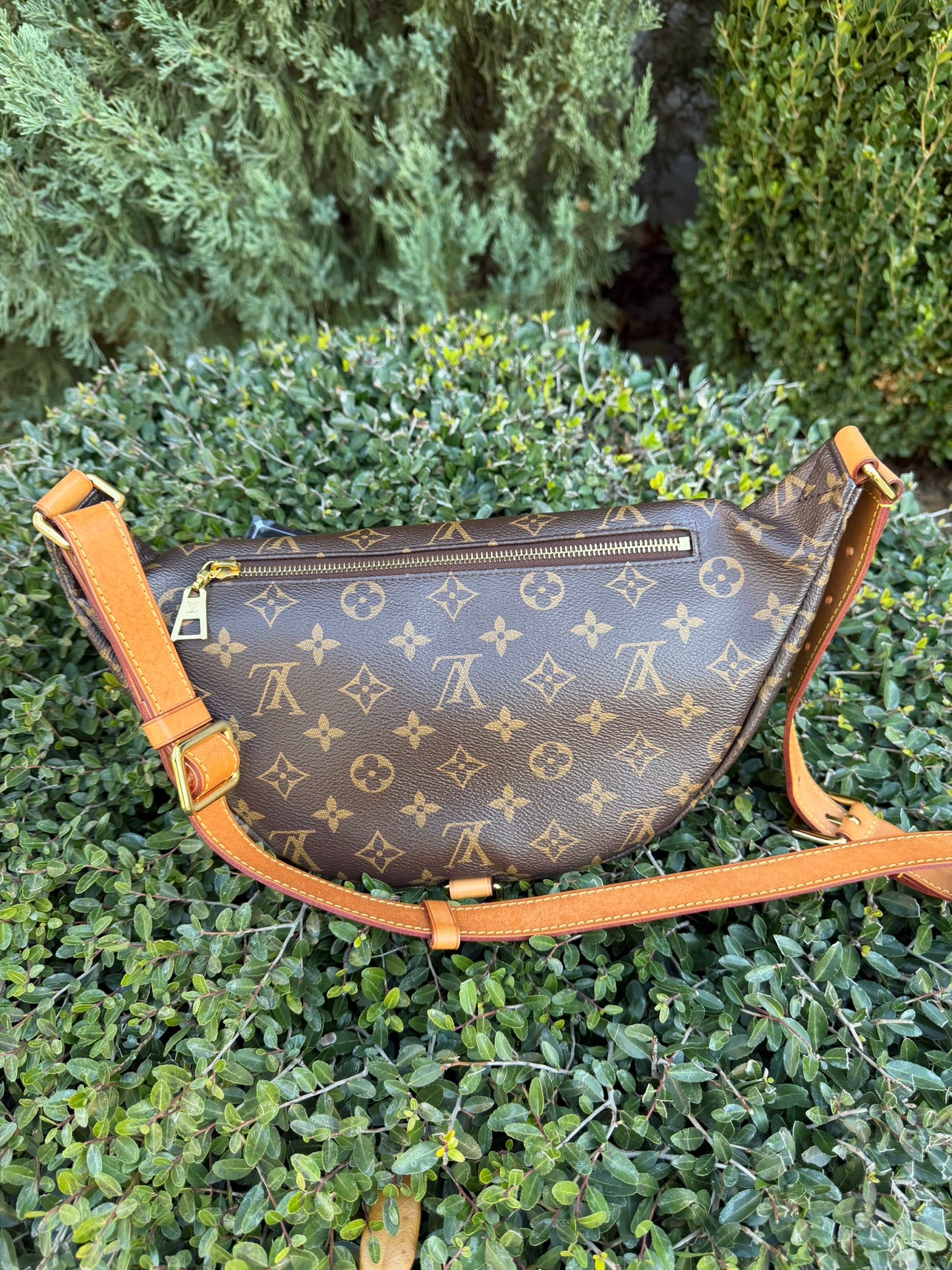 Louis Vuitton Bumbag in Monogram Canvas
