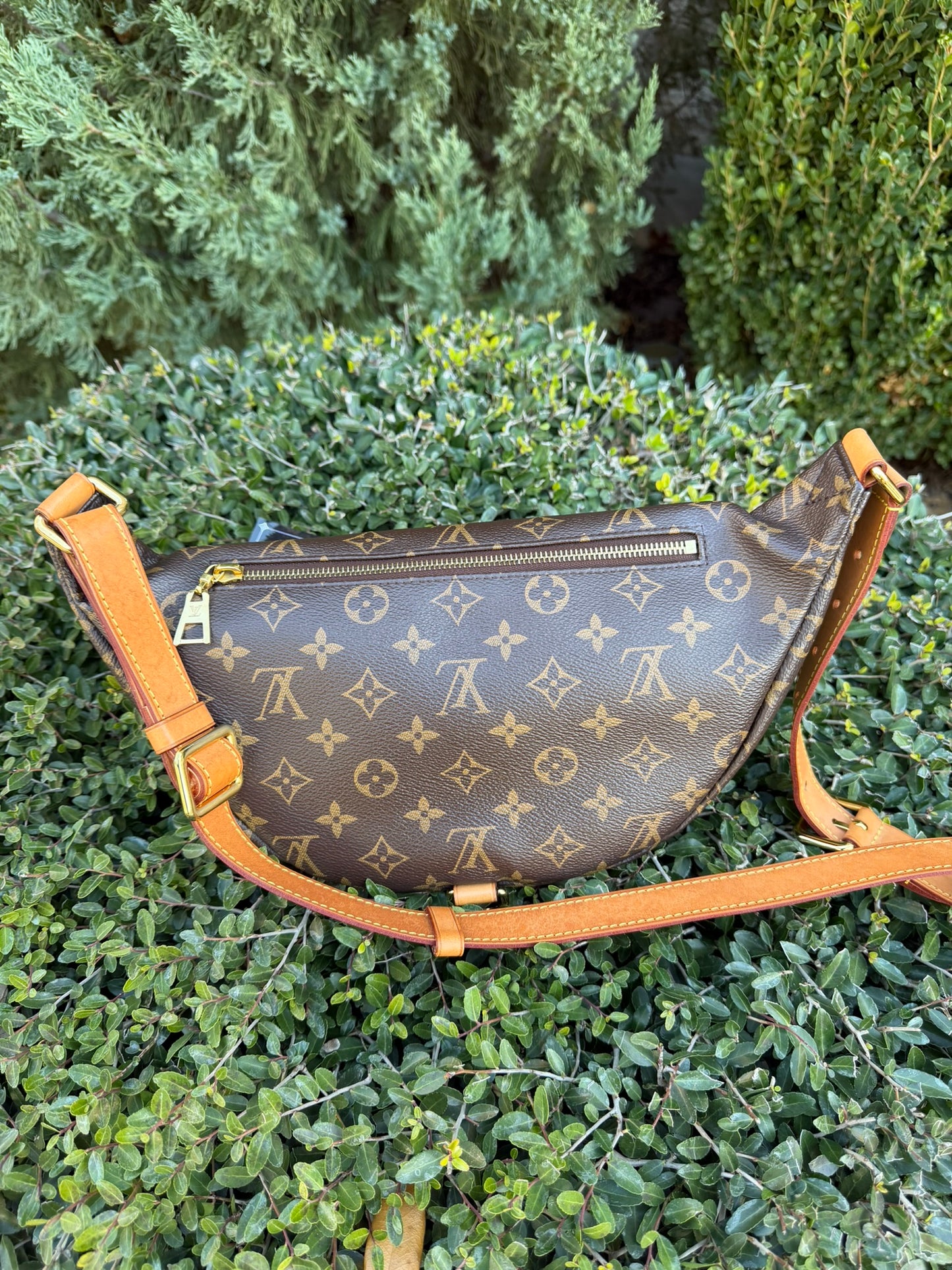 Louis Vuitton Bumbag in Monogram Canvas