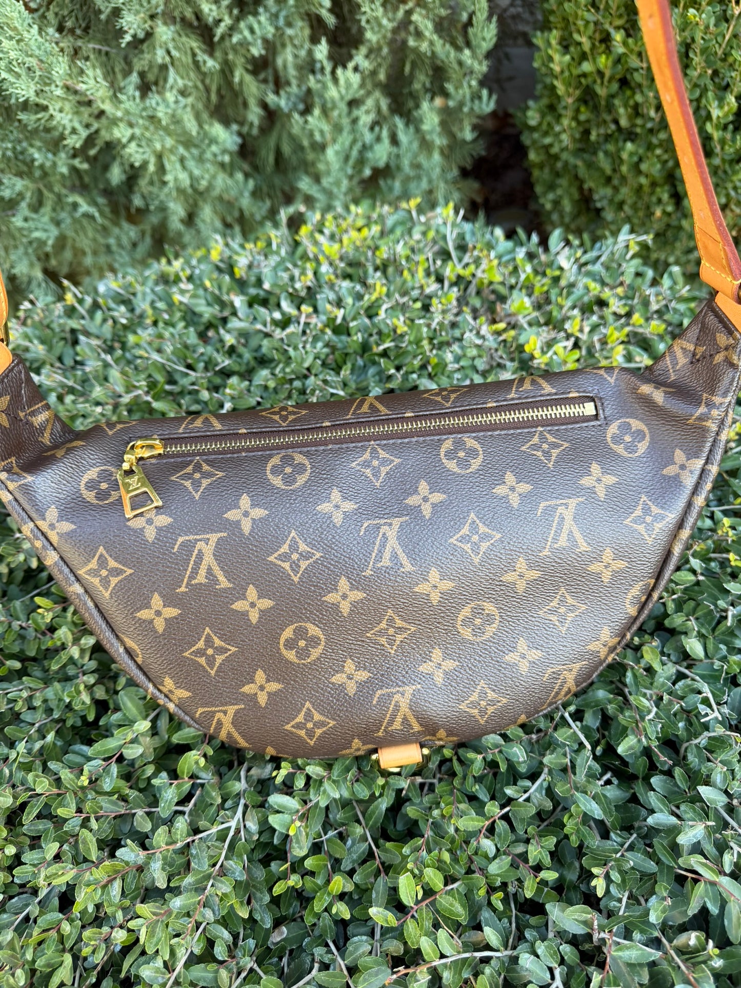 Louis Vuitton Bumbag in Monogram Canvas