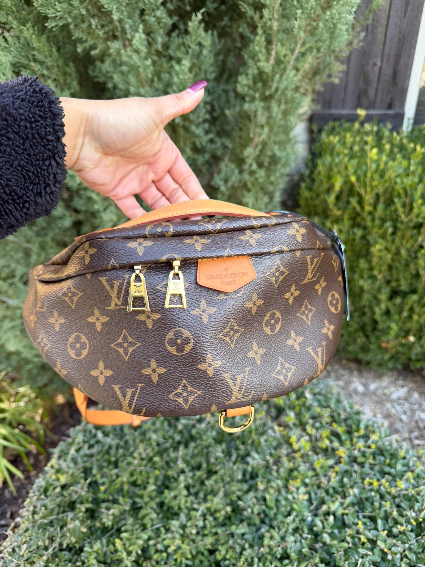Louis Vuitton Bumbag in Monogram Canvas