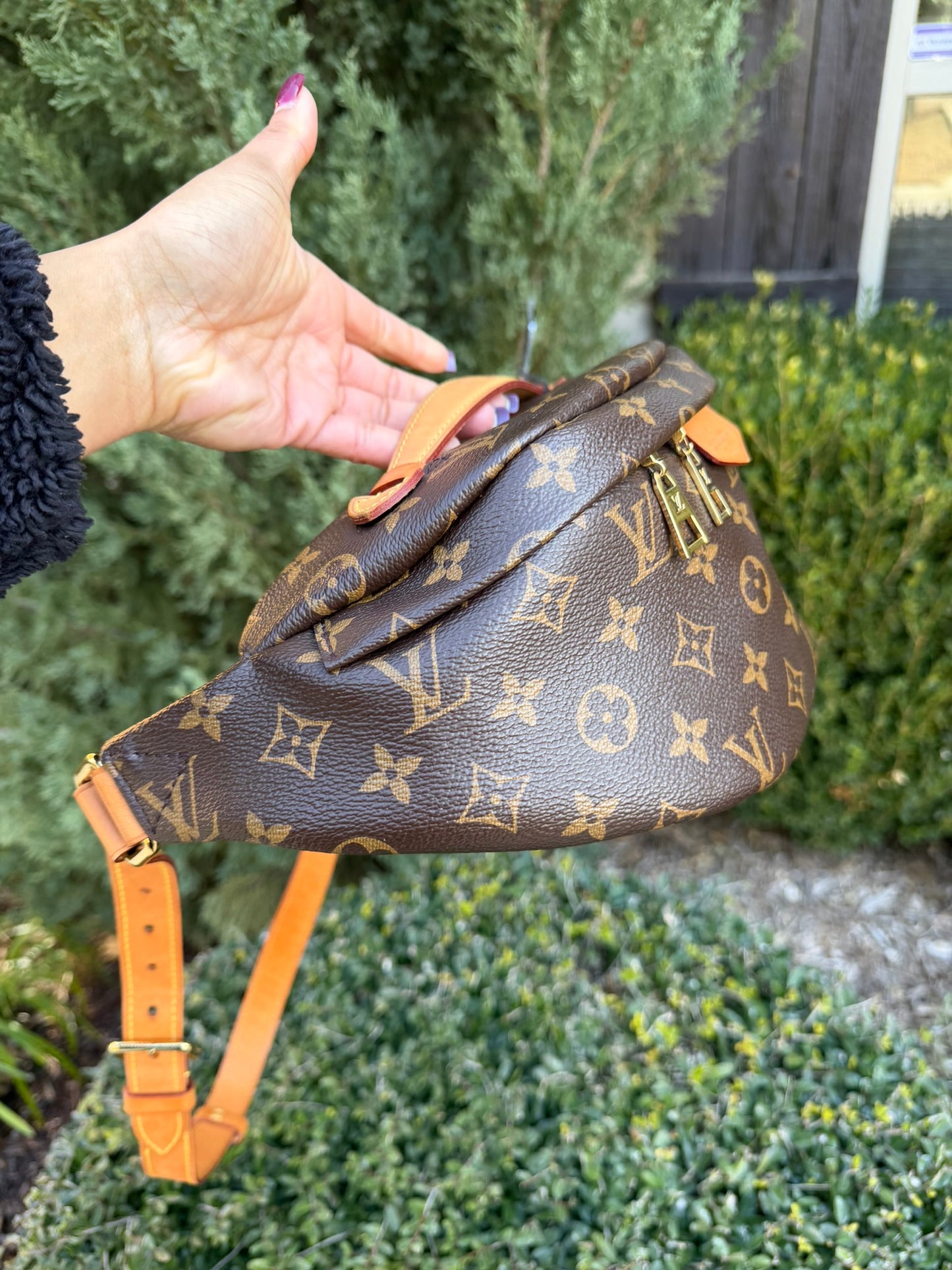 Louis Vuitton Bumbag in Monogram Canvas