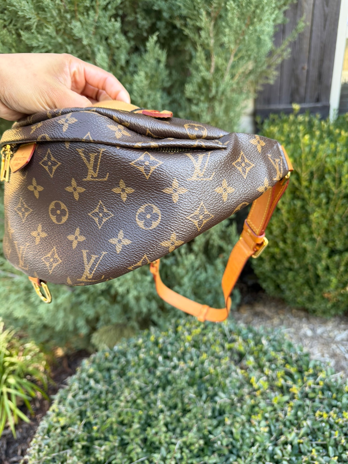 Louis Vuitton Bumbag in Monogram Canvas