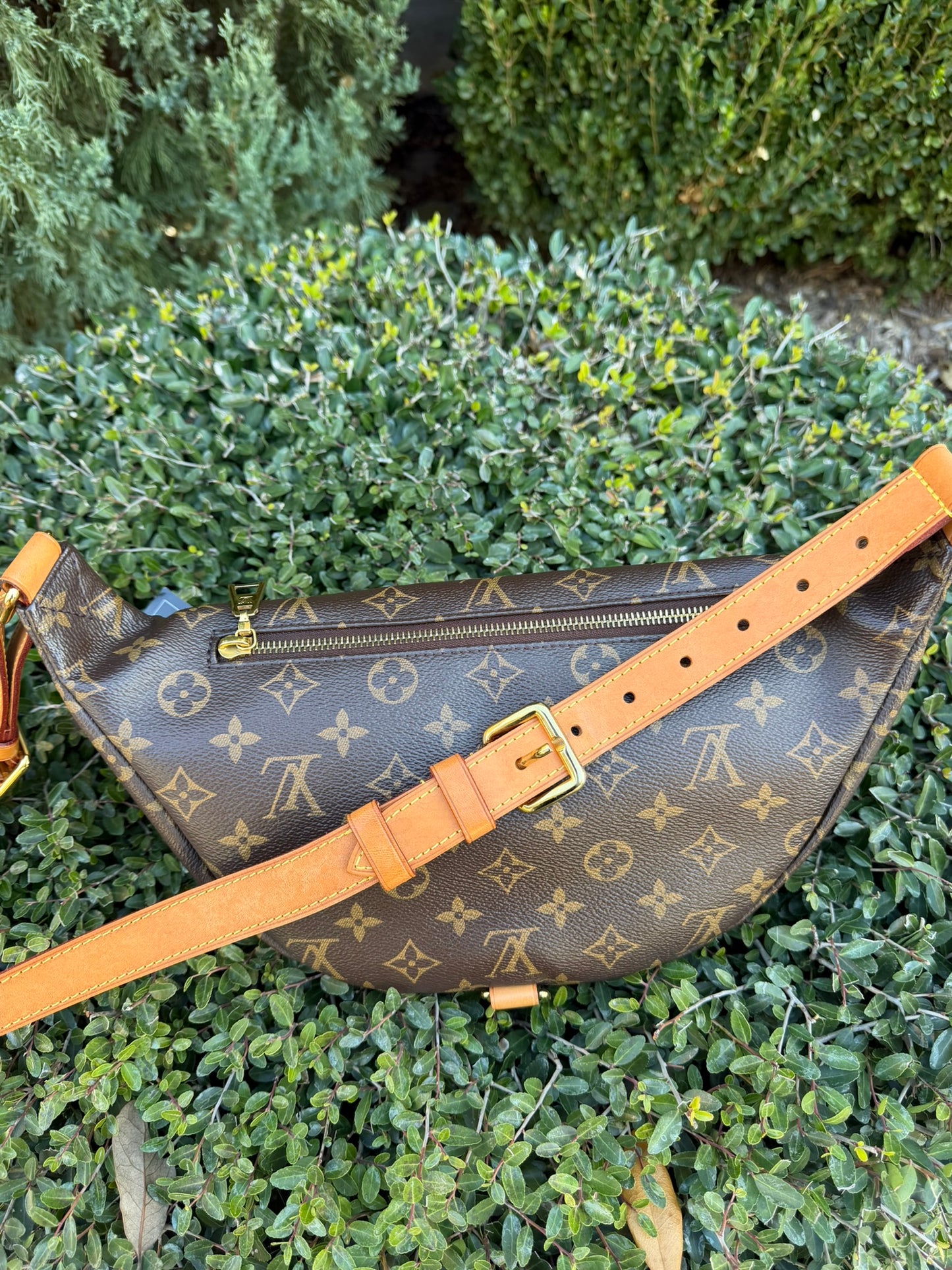 Louis Vuitton Bumbag in Monogram Canvas