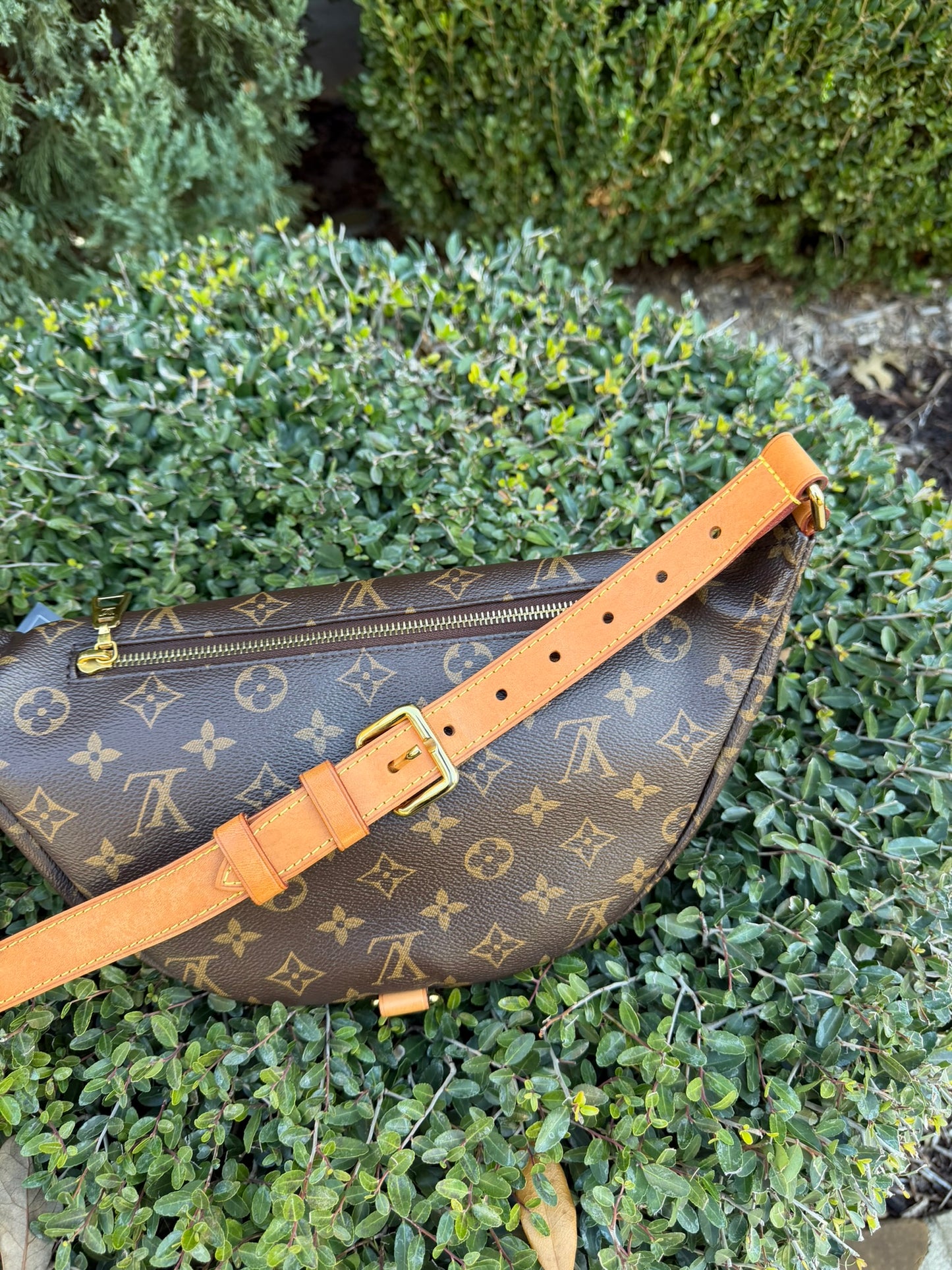 Louis Vuitton Bumbag in Monogram Canvas