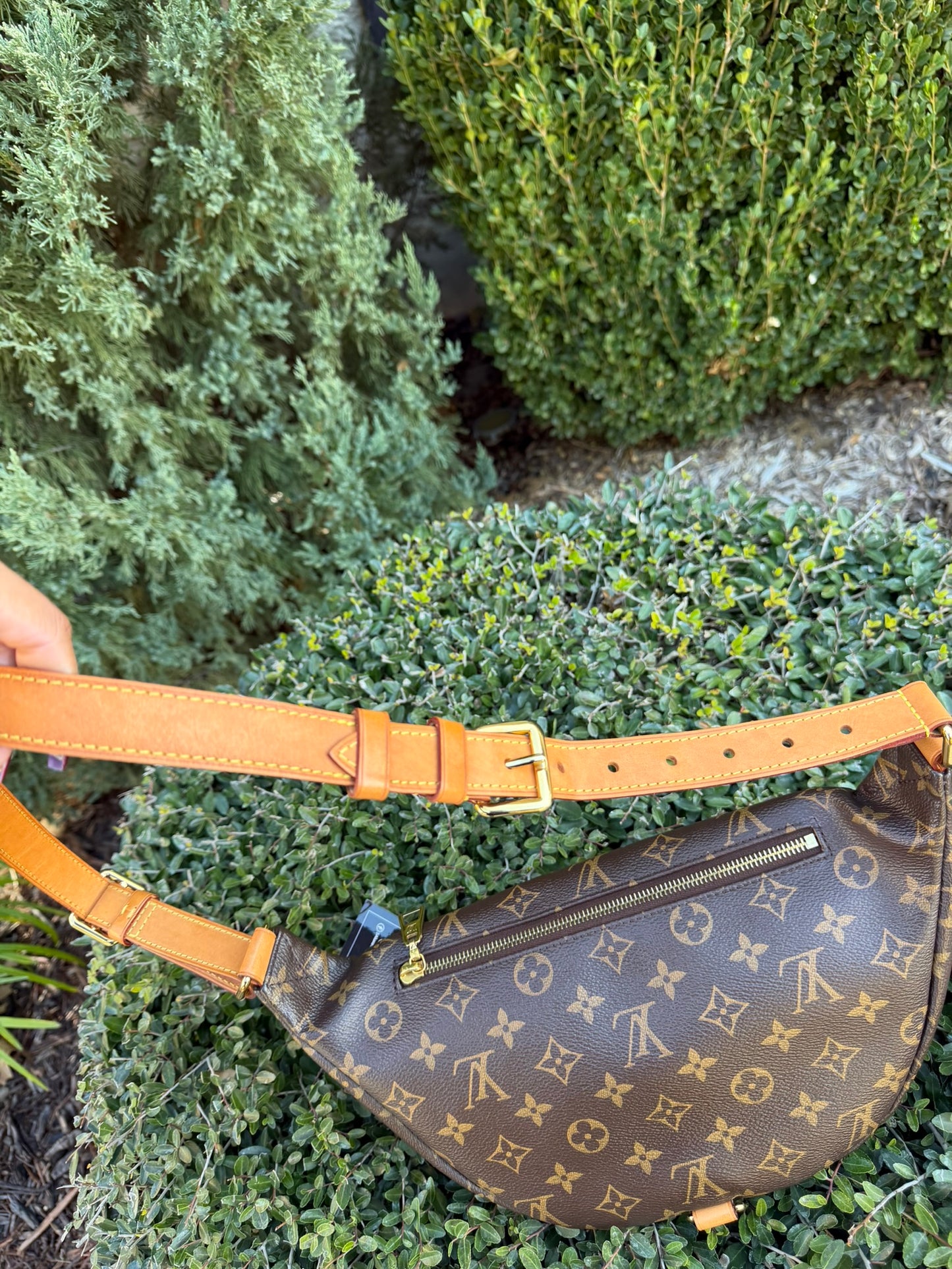 Louis Vuitton Bumbag in Monogram Canvas