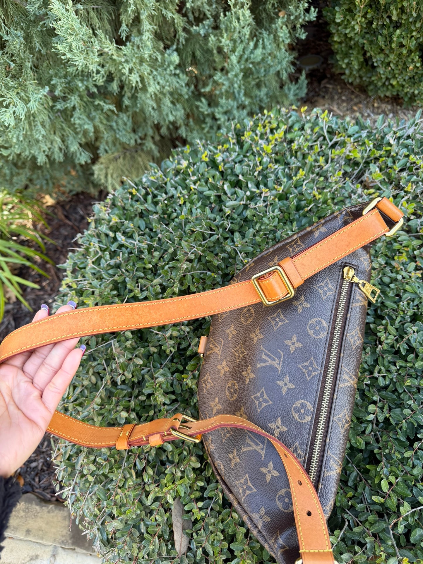 Louis Vuitton Bumbag in Monogram Canvas
