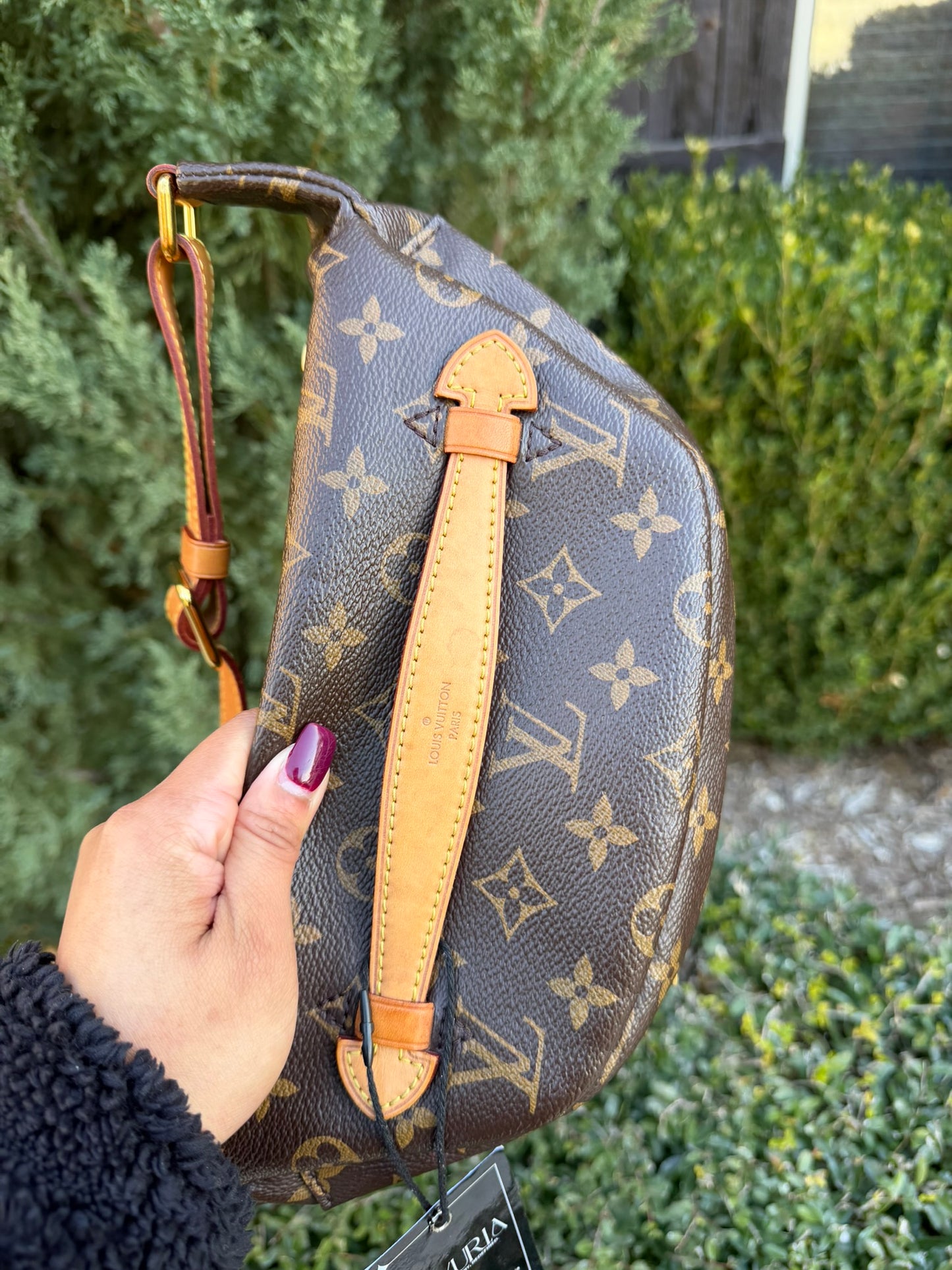 Louis Vuitton Bumbag in Monogram Canvas