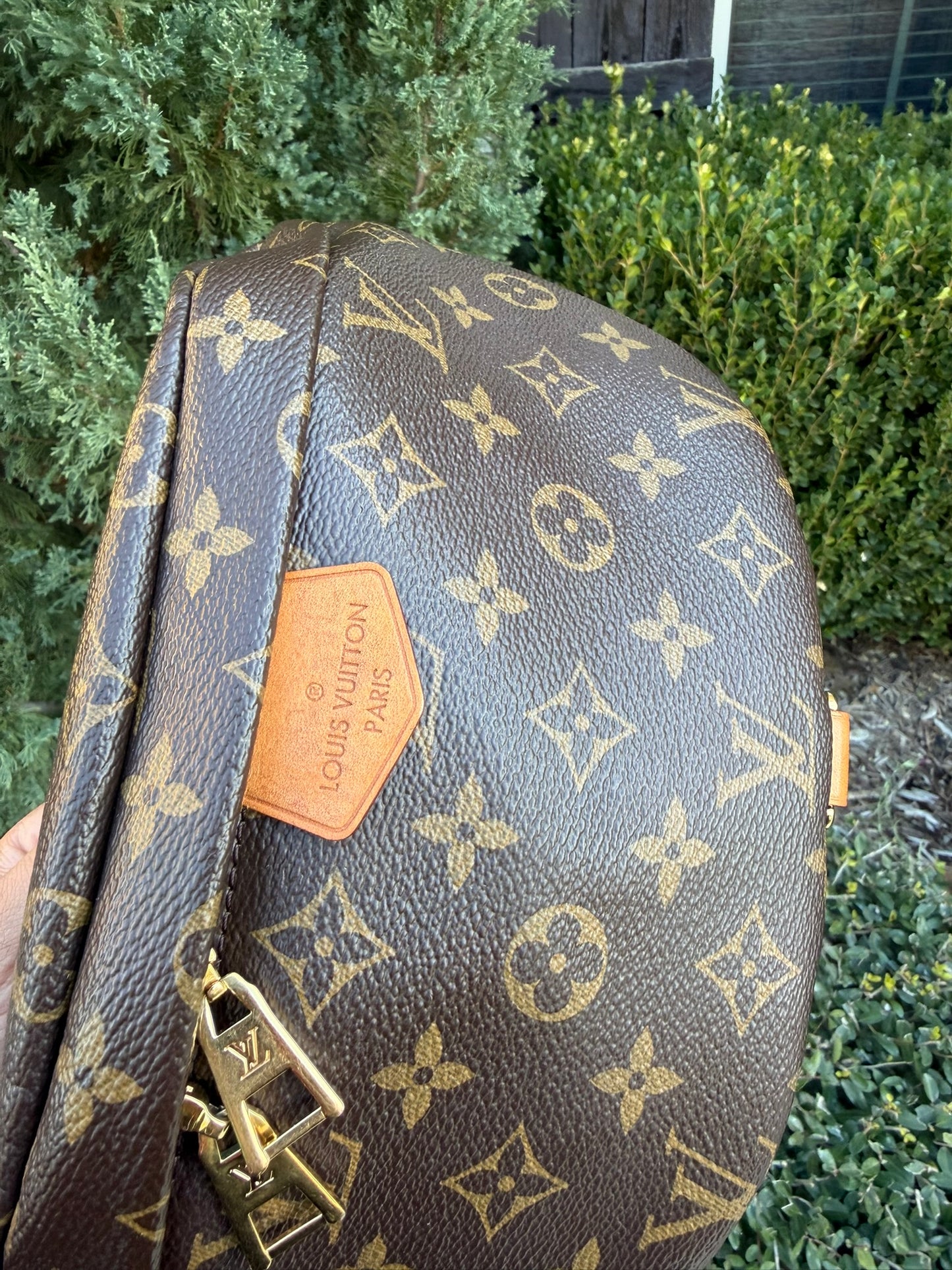 Louis Vuitton Bumbag in Monogram Canvas