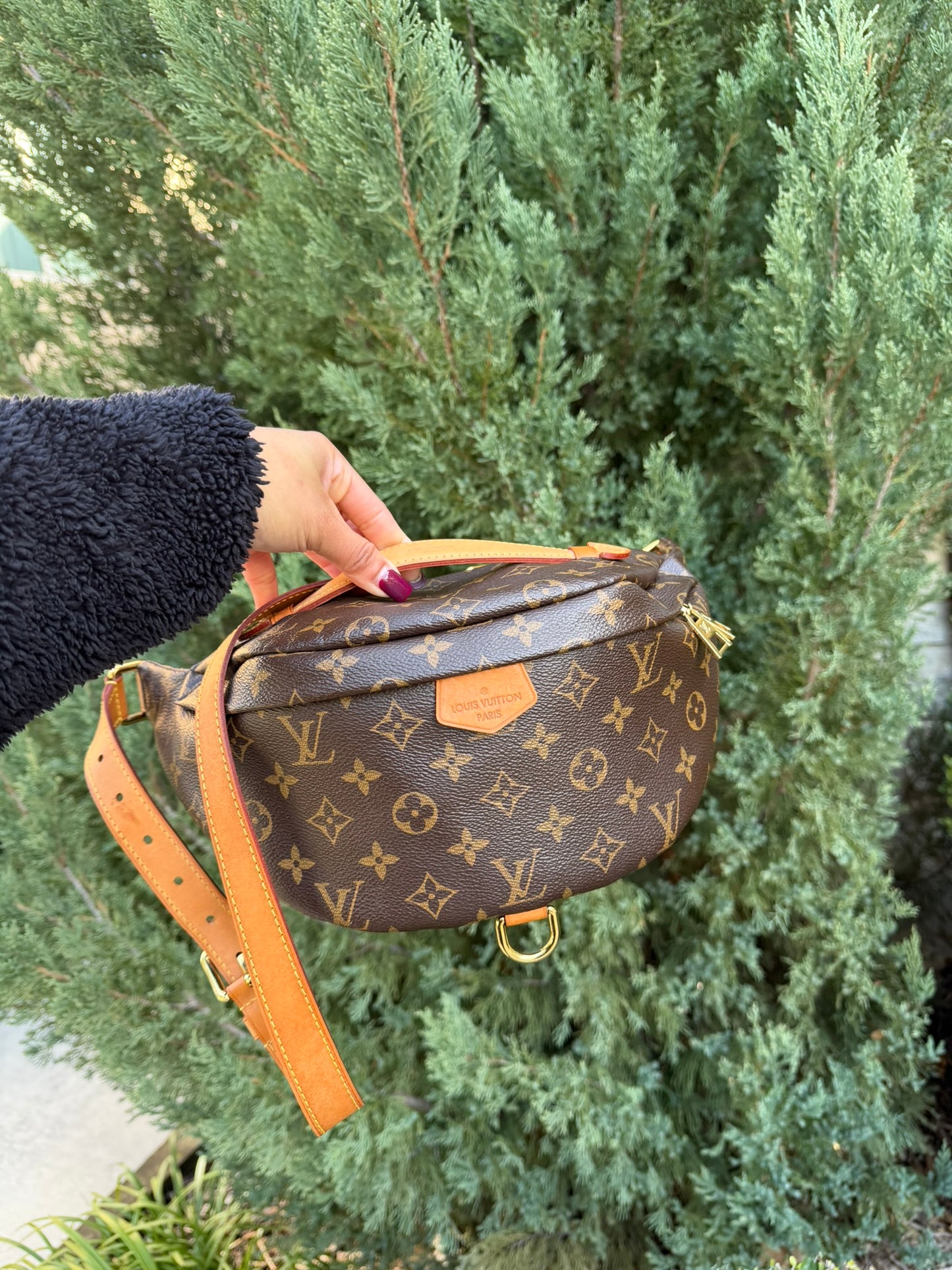 Louis Vuitton Bumbag in Monogram Canvas