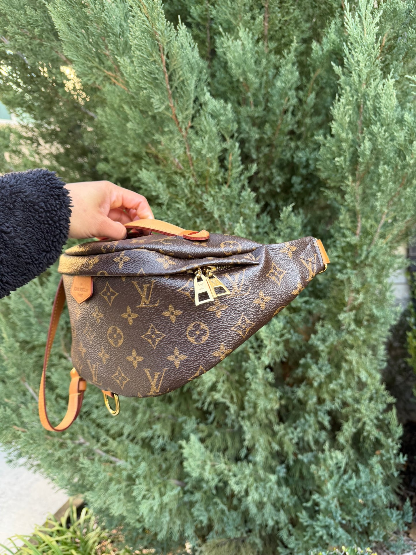 Louis Vuitton Bumbag in Monogram Canvas