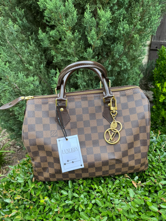 Louis Vuitton Speedy 30 in Damier Ebene Canvas