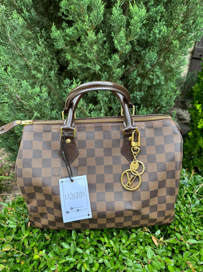 Louis Vuitton Speedy 30 in Damier Ebene Canvas
