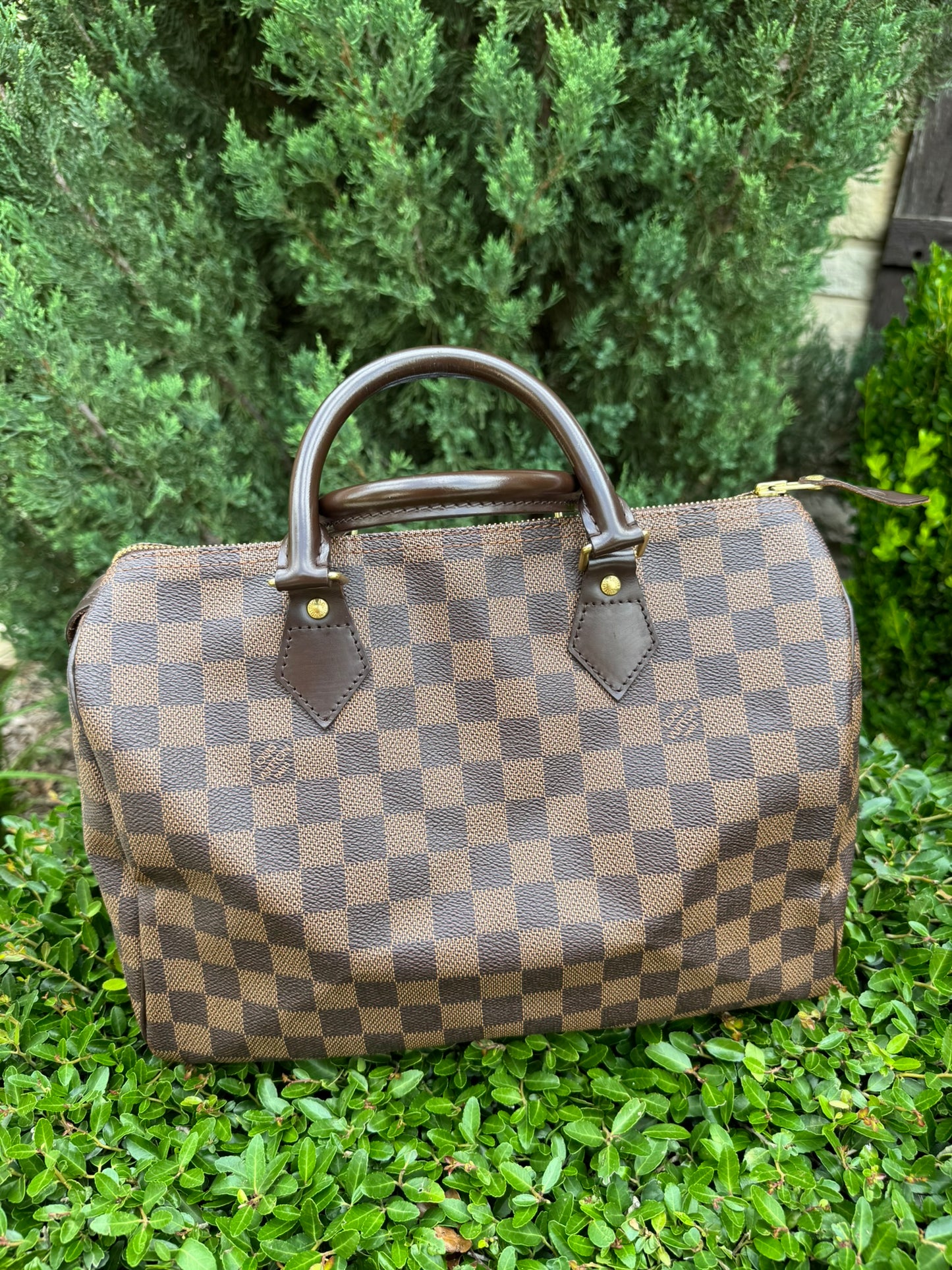 Louis Vuitton Speedy 30 in Damier Ebene Canvas