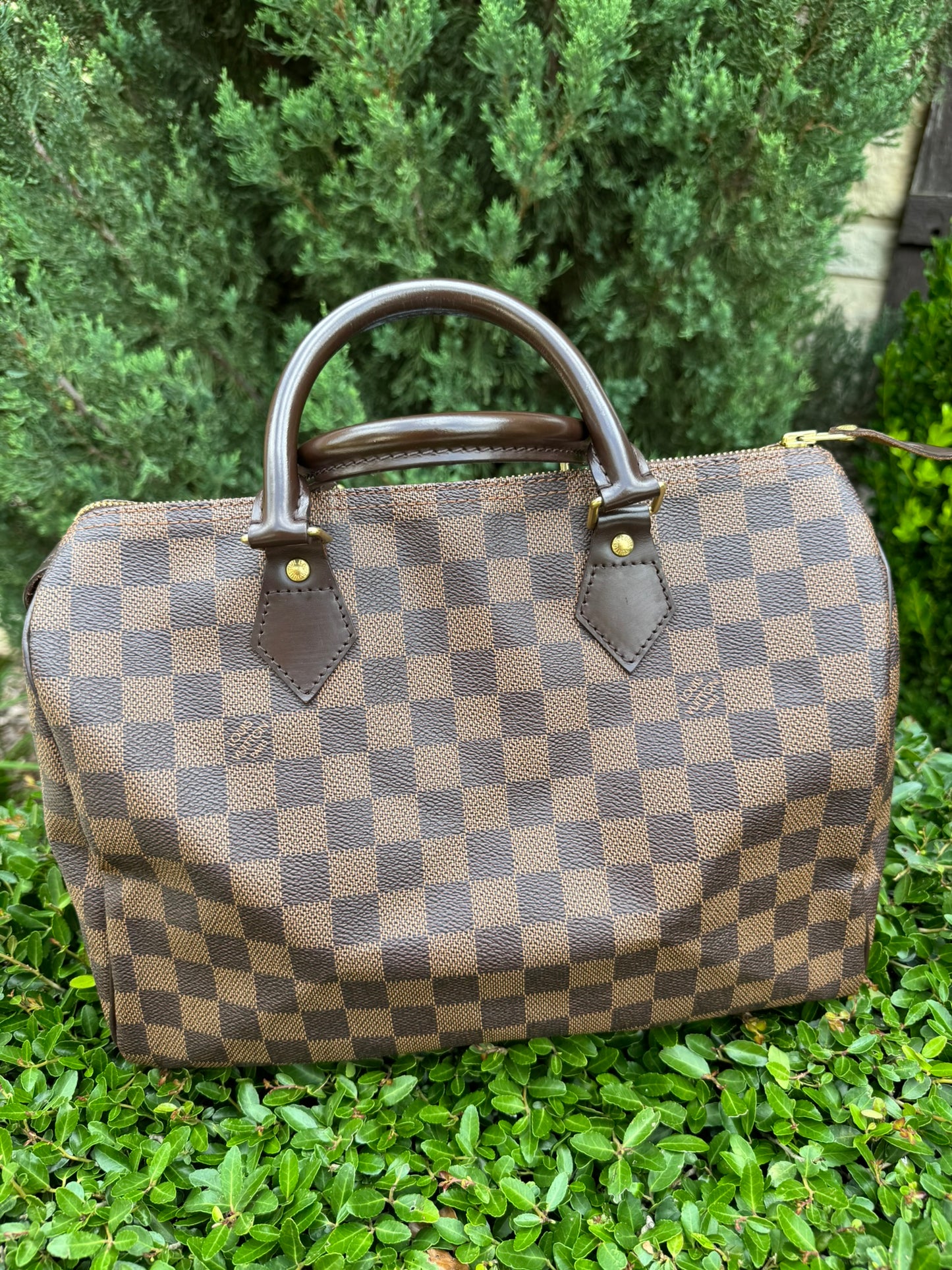 Louis Vuitton Speedy 30 in Damier Ebene Canvas