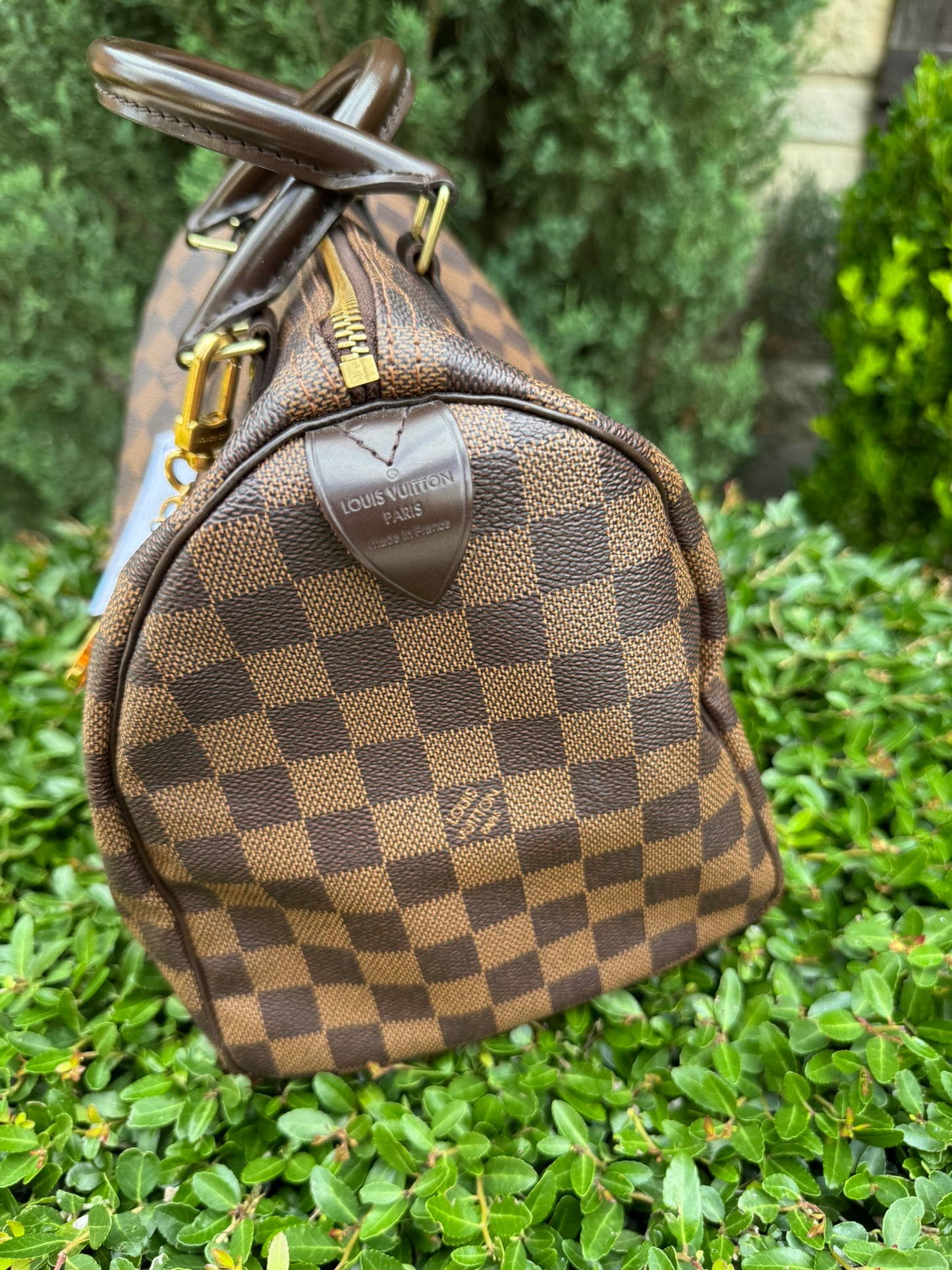 Louis Vuitton Speedy 30 in Damier Ebene Canvas
