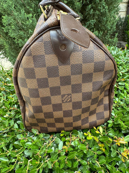 Louis Vuitton Speedy 30 in Damier Ebene Canvas