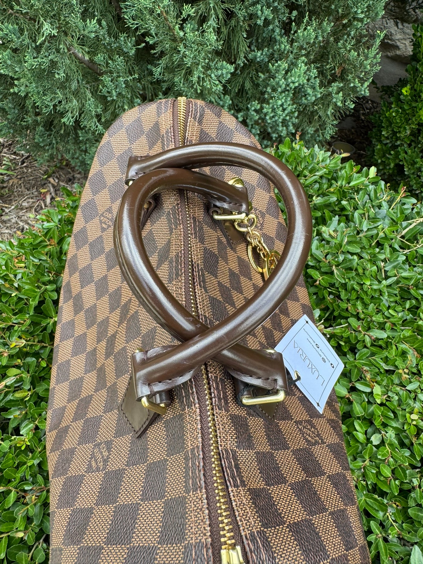 Louis Vuitton Speedy 30 in Damier Ebene Canvas